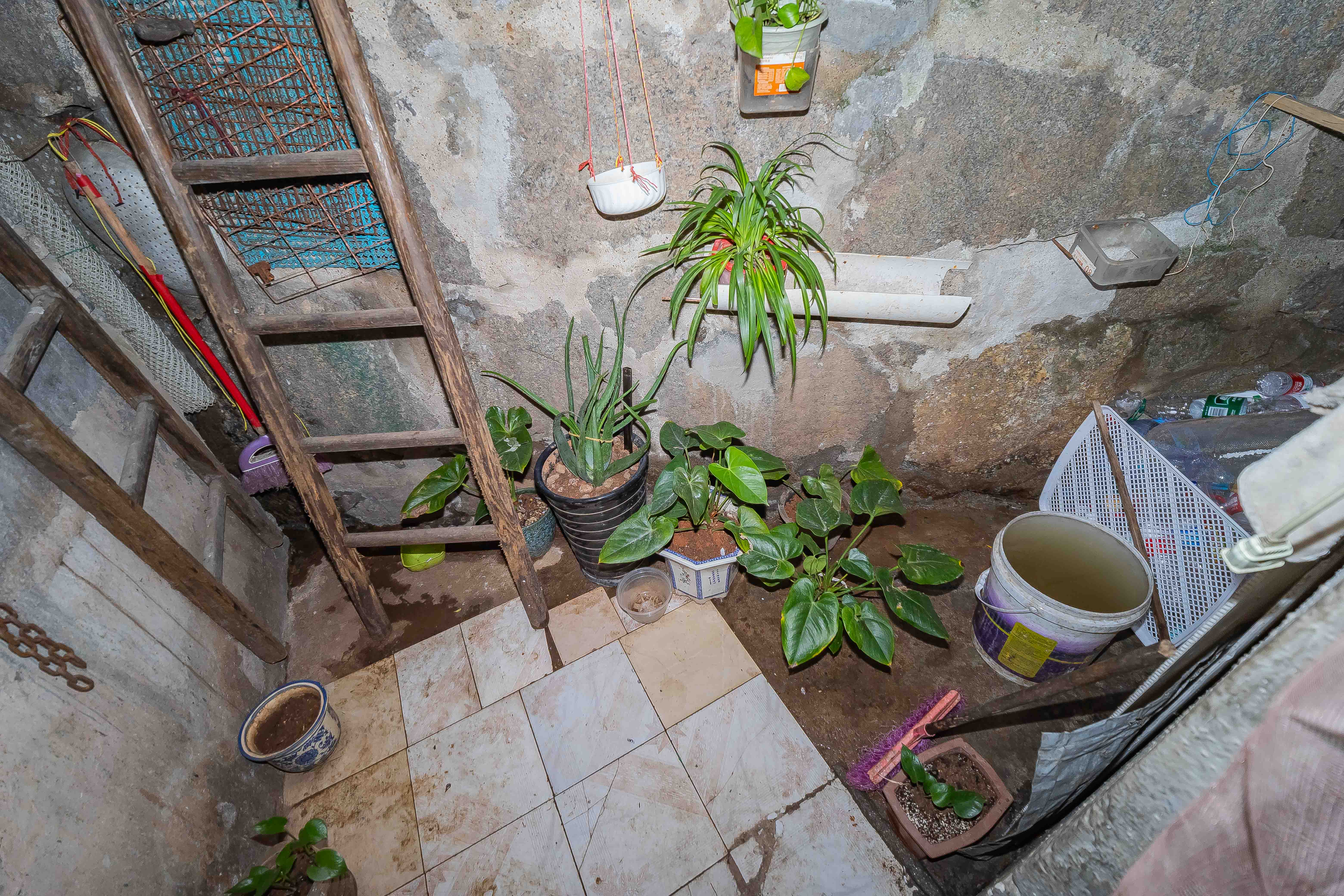 石子冲巷 1室1厅1卫 25.5万 石子冲巷 1室1厅1卫 25.5万其他