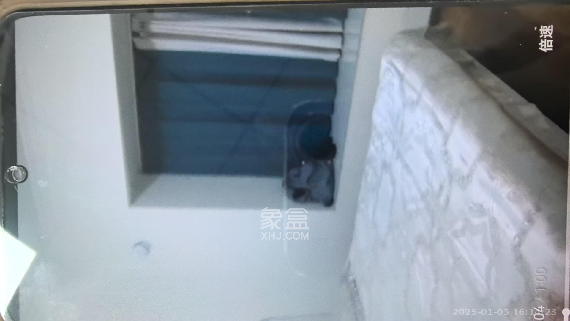 碧桂园翘楚棠  3室2厅2卫   2600.00元/月室内图