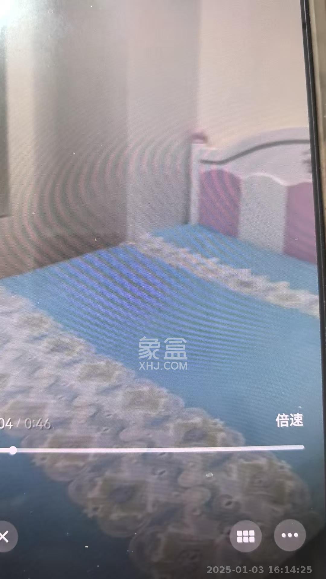 碧桂园翘楚棠  3室2厅2卫   2600.00元/月室内图