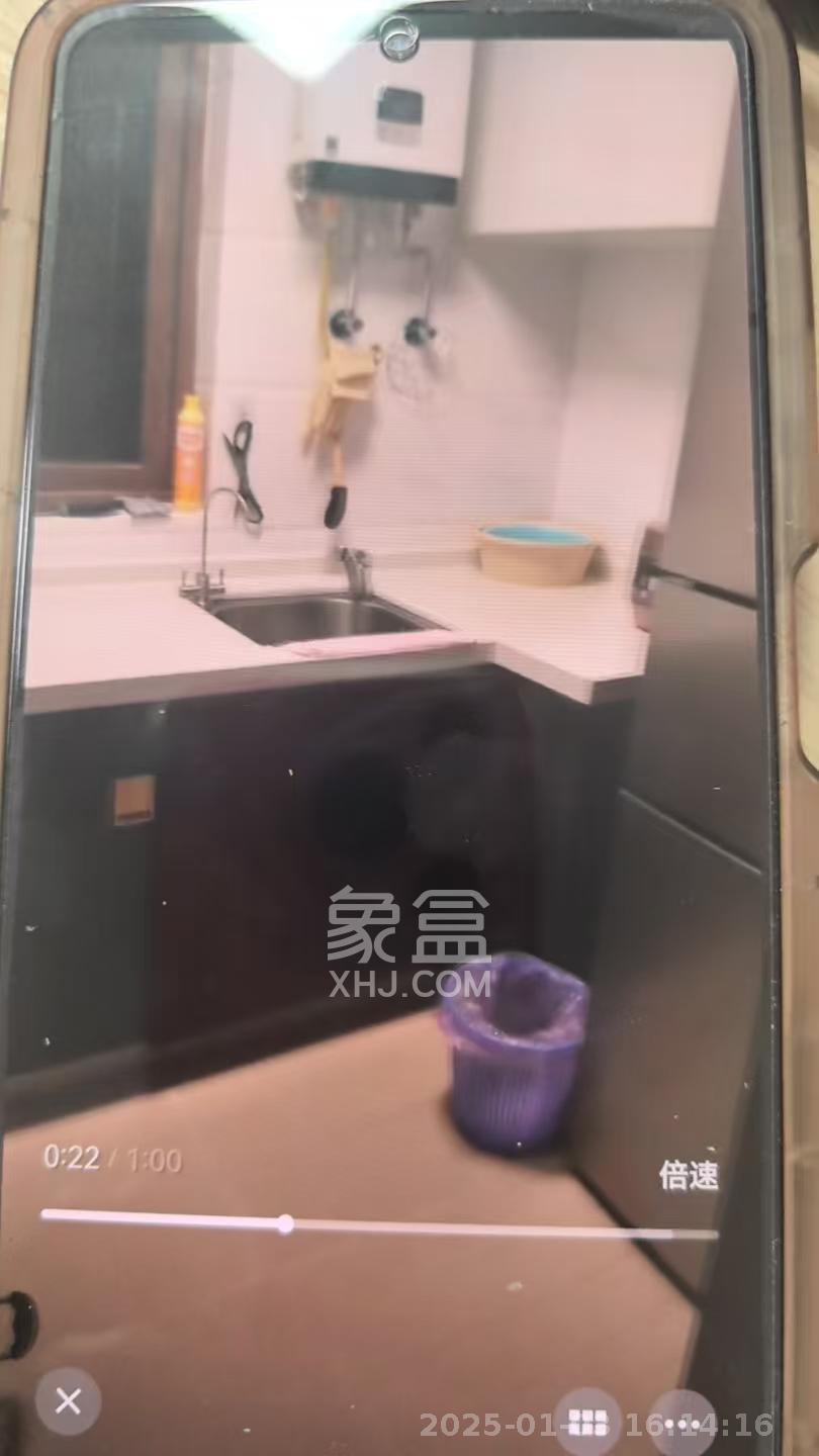 碧桂园翘楚棠  3室2厅2卫   2600.00元/月