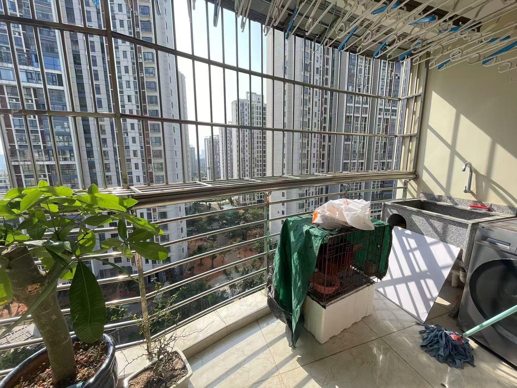 丽海云霞  5室2厅2卫   4200.00元/月室内图