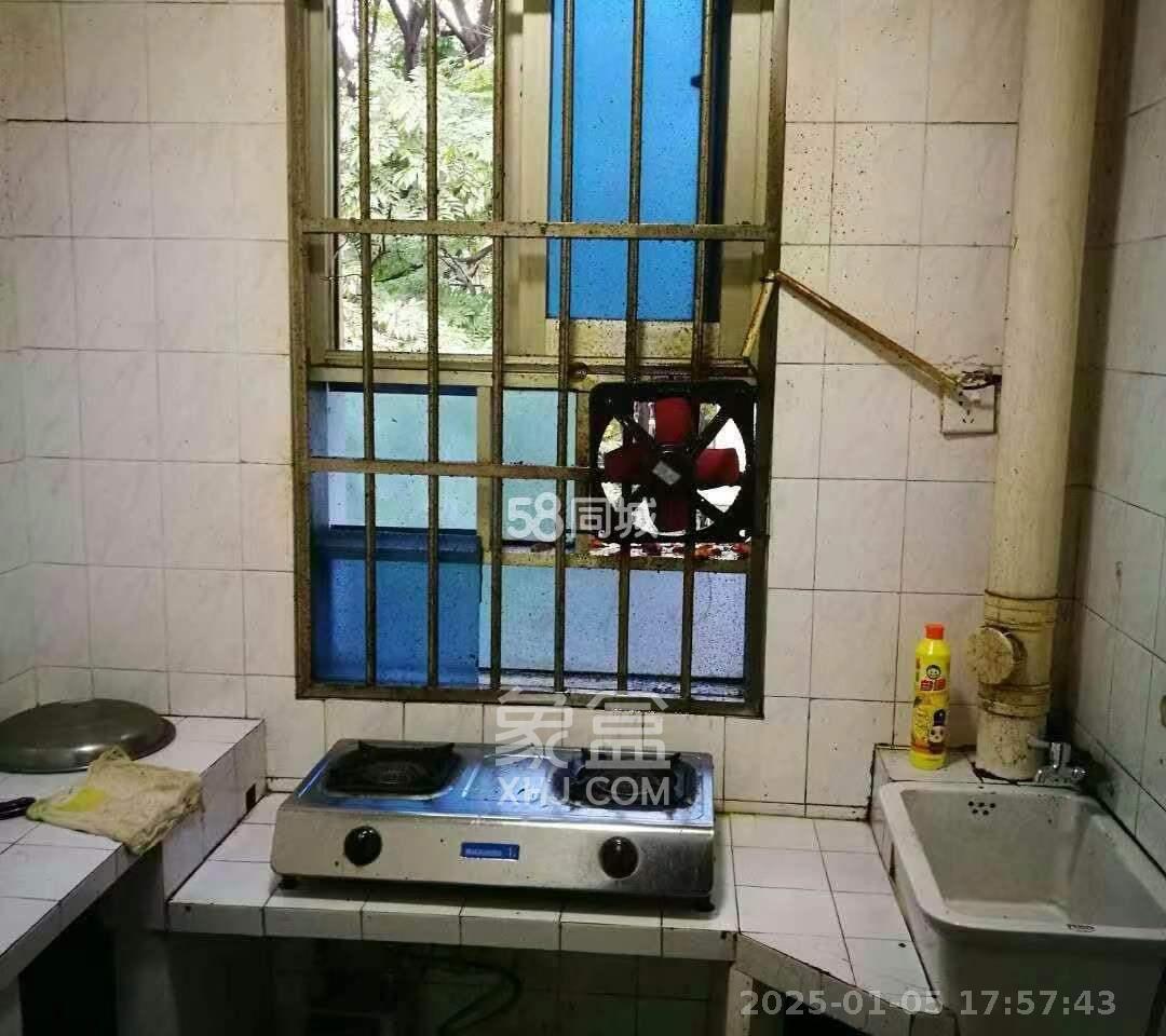 红旗区四片 4室1厅1卫 3800.0元/月 红旗区四片 4室1厅1卫 3800.0元/月室内图