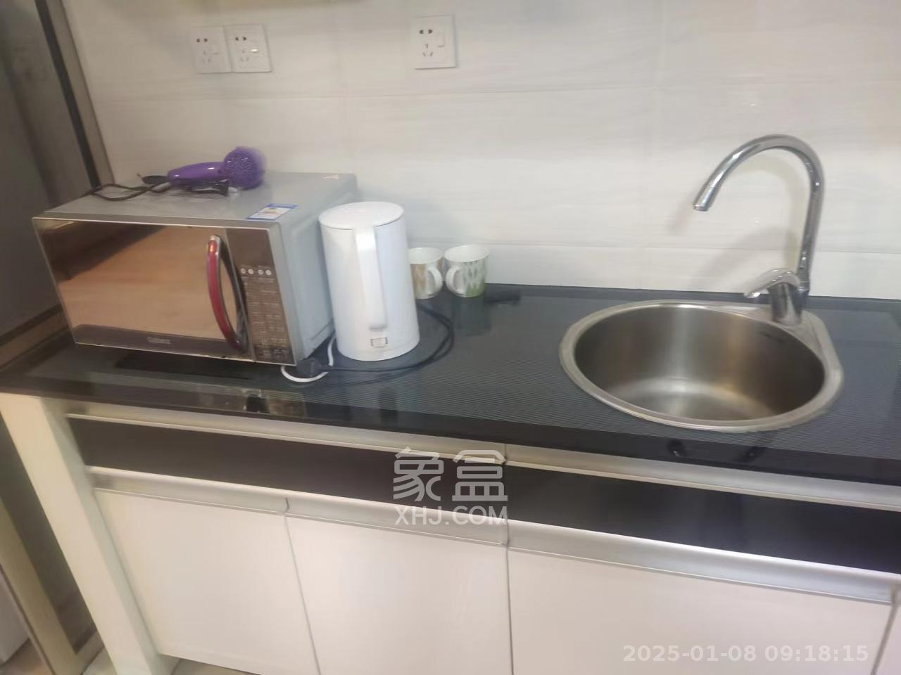 壹号公馆  1室1厅1卫    2500.0元/月室内图