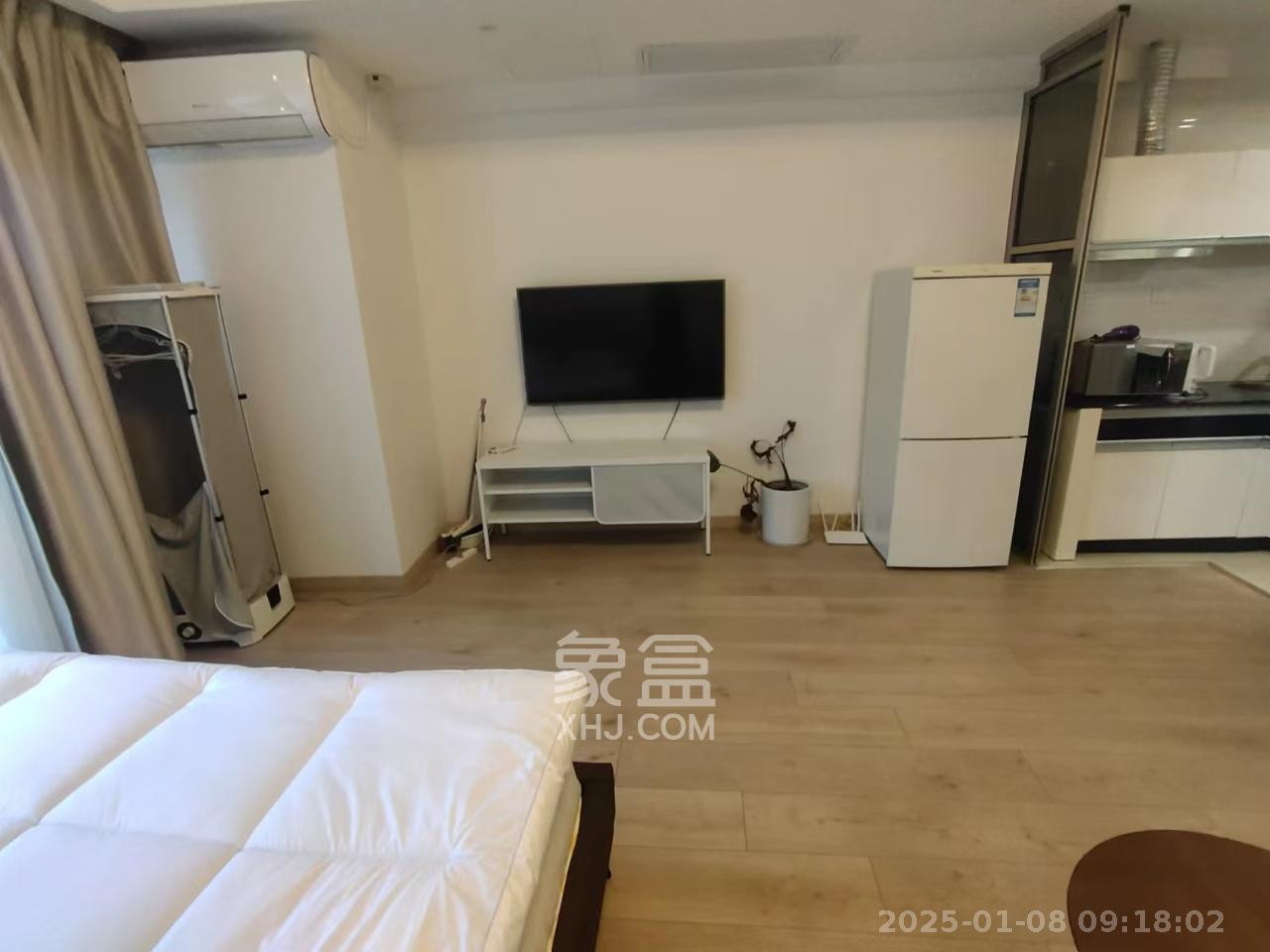 壹号公馆  1室1厅1卫    2500.0元/月室内图