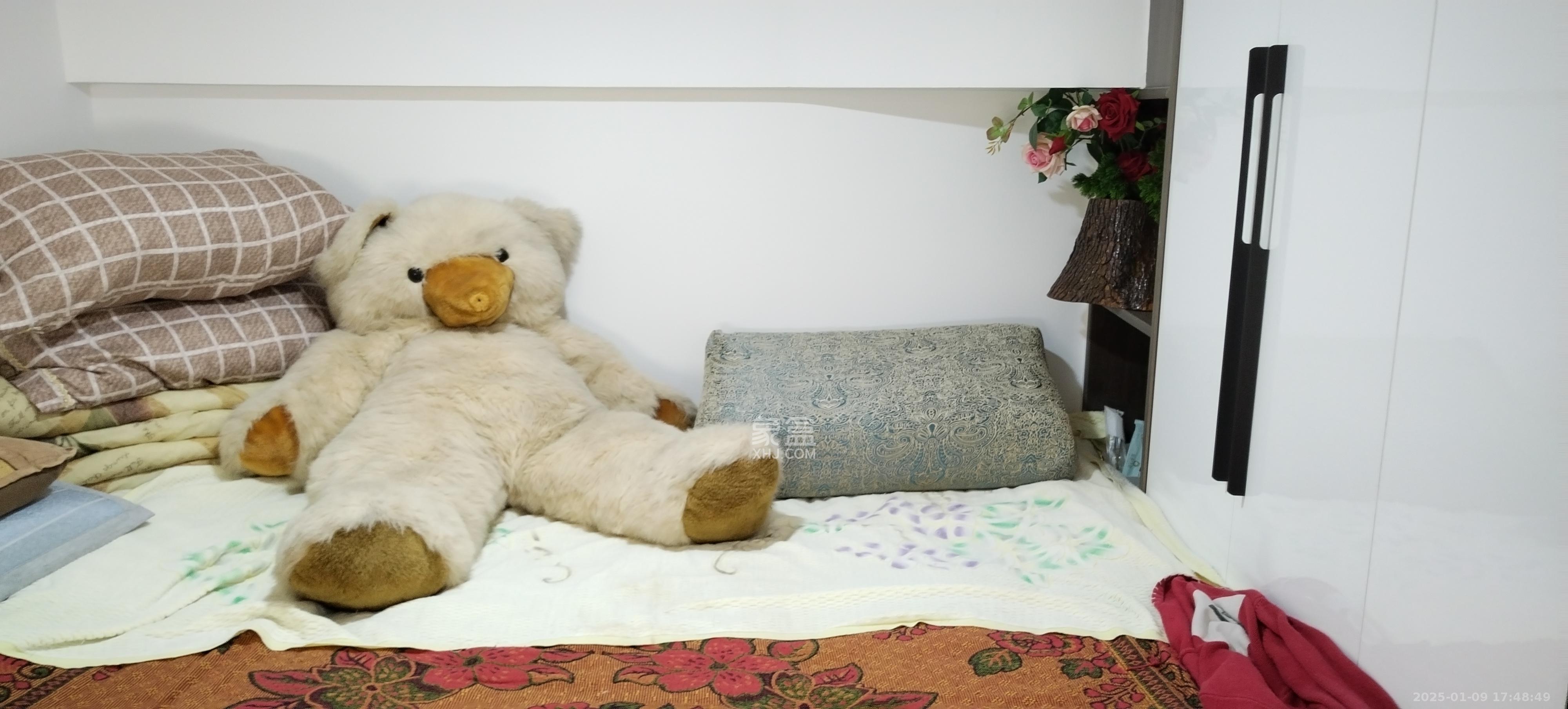 天鸿天府(天鸿中央大院) 2室1厅1卫 2500.0元/月 天鸿天府(天鸿中央大院) 2室1厅1卫 2500.0元/月室内图