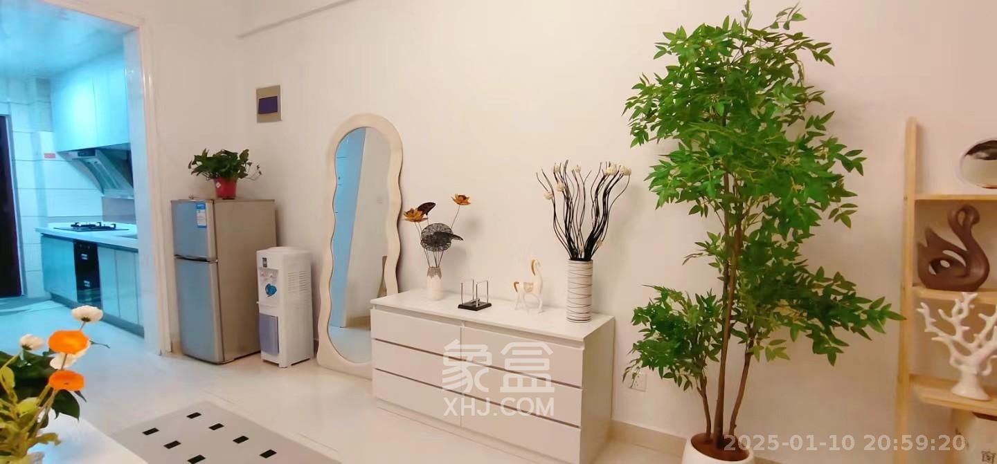 上河国际A座 1室0厅0卫 1800.0元/月 上河国际A座 1室0厅0卫 1800.0元/月室内图