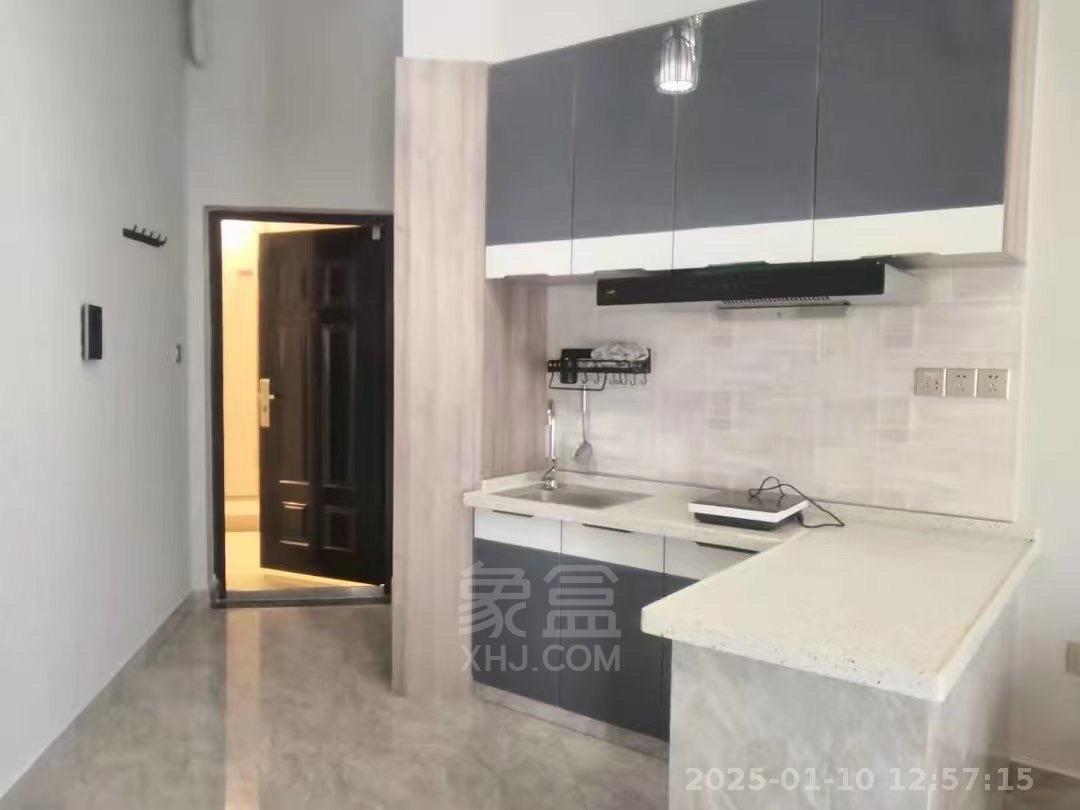 白金汉宫 1室1厅1卫 1300.0元/月 白金汉宫 1室1厅1卫 1300.0元/月室内图