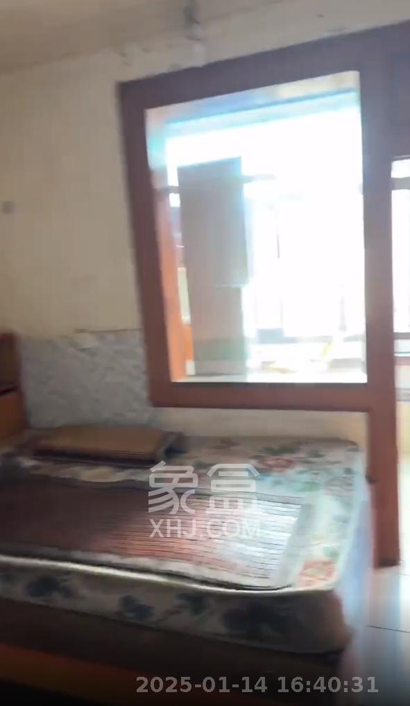 印染厂宿舍 2室1厅1卫 1200.0元/月 印染厂宿舍 2室1厅1卫 1200.0元/月室内图