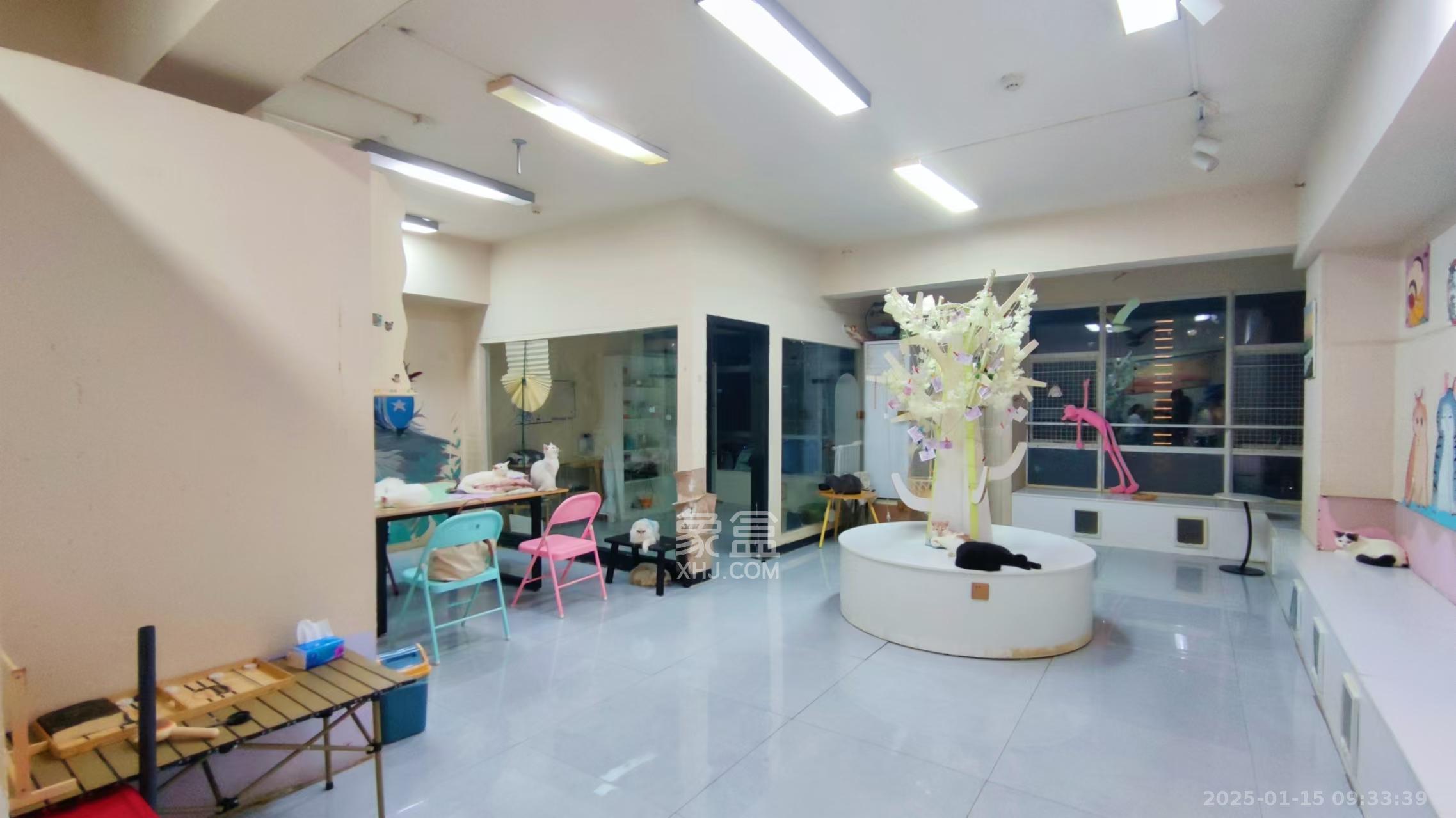 五一新干线 1室1厅1卫 4800.0元/月 五一新干线 1室1厅1卫 4800.0元/月室内图