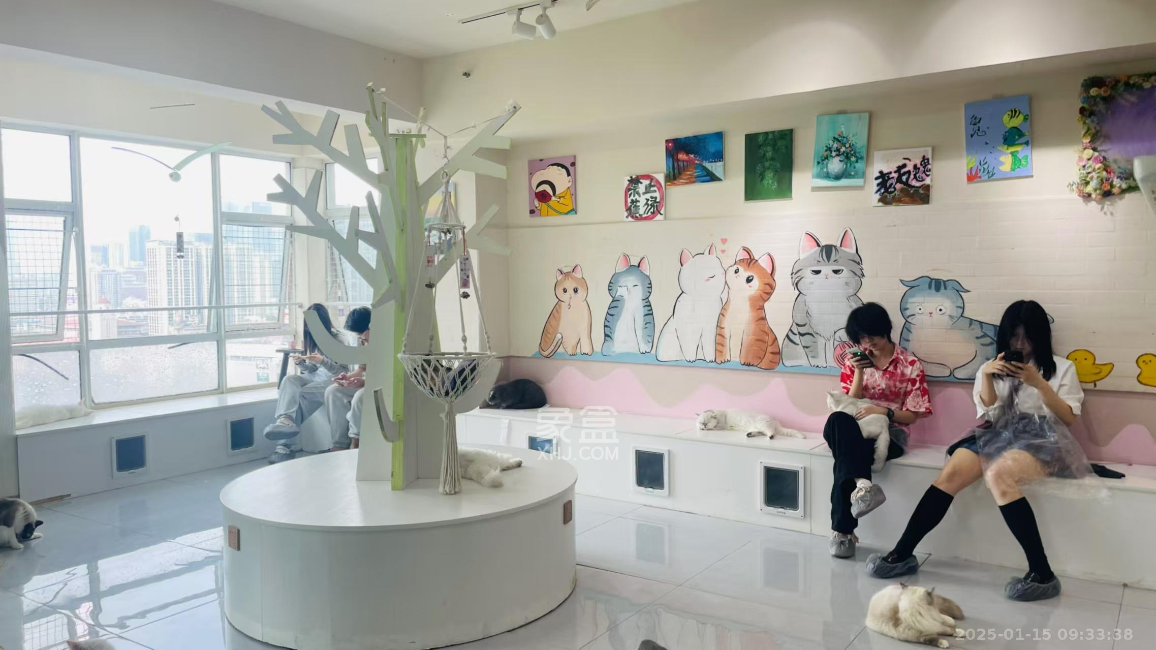 五一新干线 1室1厅1卫 4800.0元/月 五一新干线 1室1厅1卫 4800.0元/月室内图