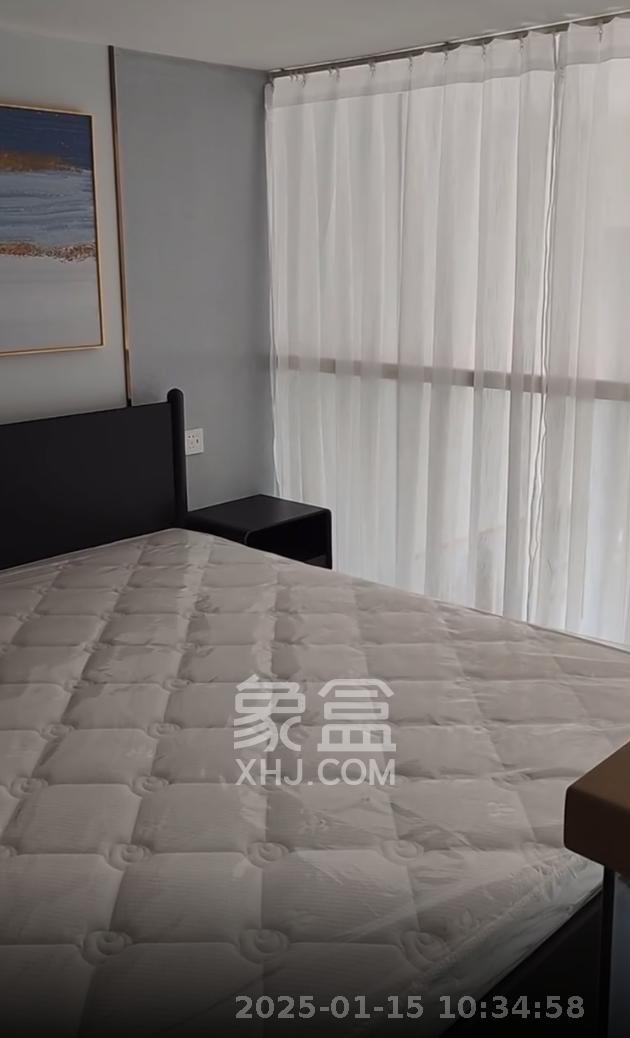 藏珑湖上公馆  1室0厅2卫   2800.00元/月室内图