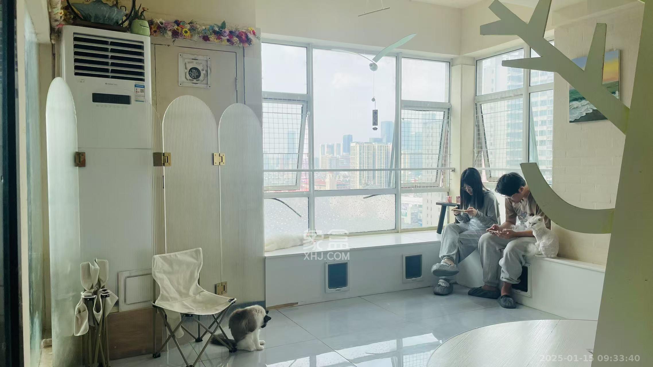 五一新干线 1室1厅1卫 4800.0元/月 五一新干线 1室1厅1卫 4800.0元/月室内图