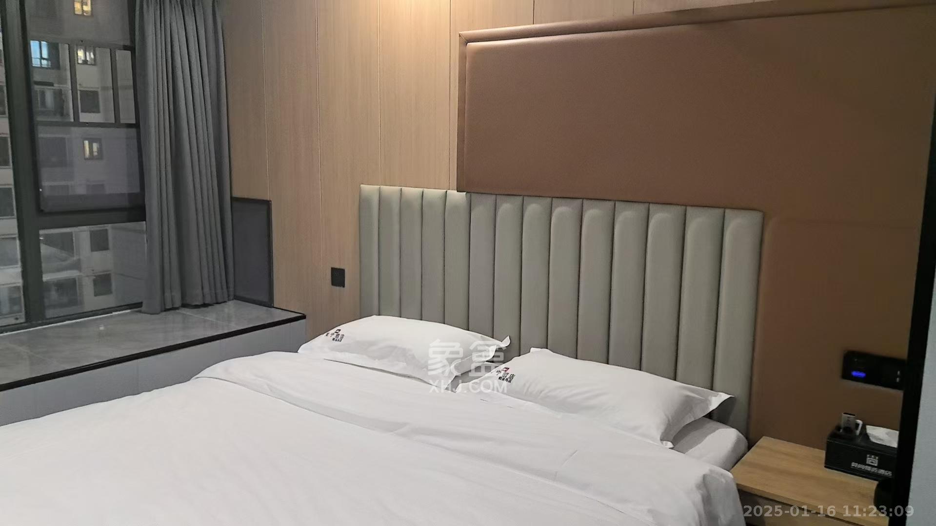龙湖铂金岛  1室0厅0卫   1600.00元/月室内图1
