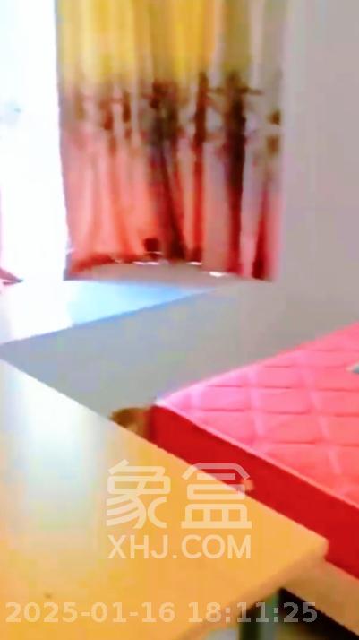 光明城市(星辰青年城) 4室2厅2卫 2600.0元/月 光明城市(星辰青年城) 4室2厅2卫 2600.0元/月室内图