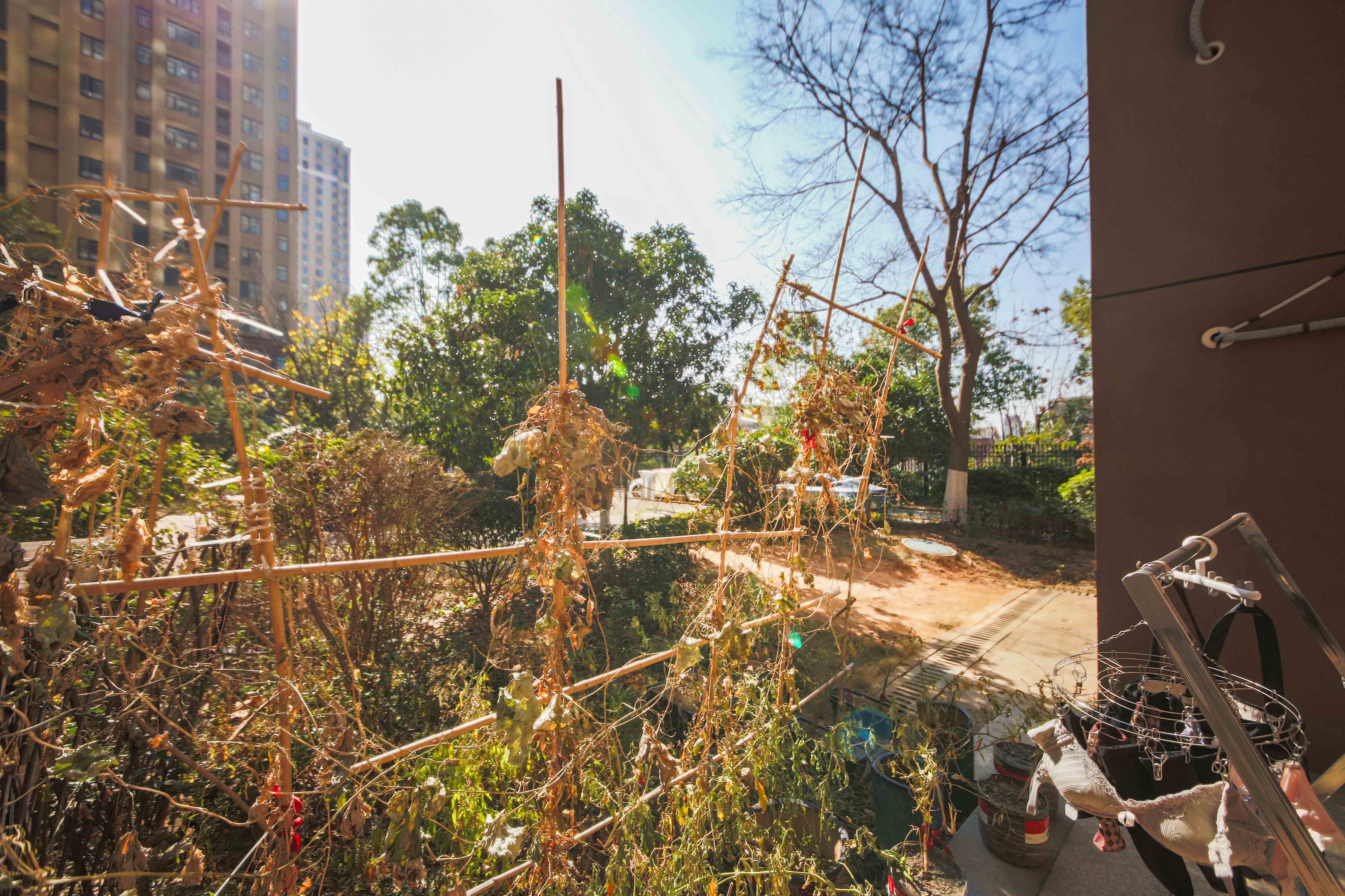 中建信和城  3室2厅2卫    140.0万 中建信和城  3室2厅2卫    140.0万其他