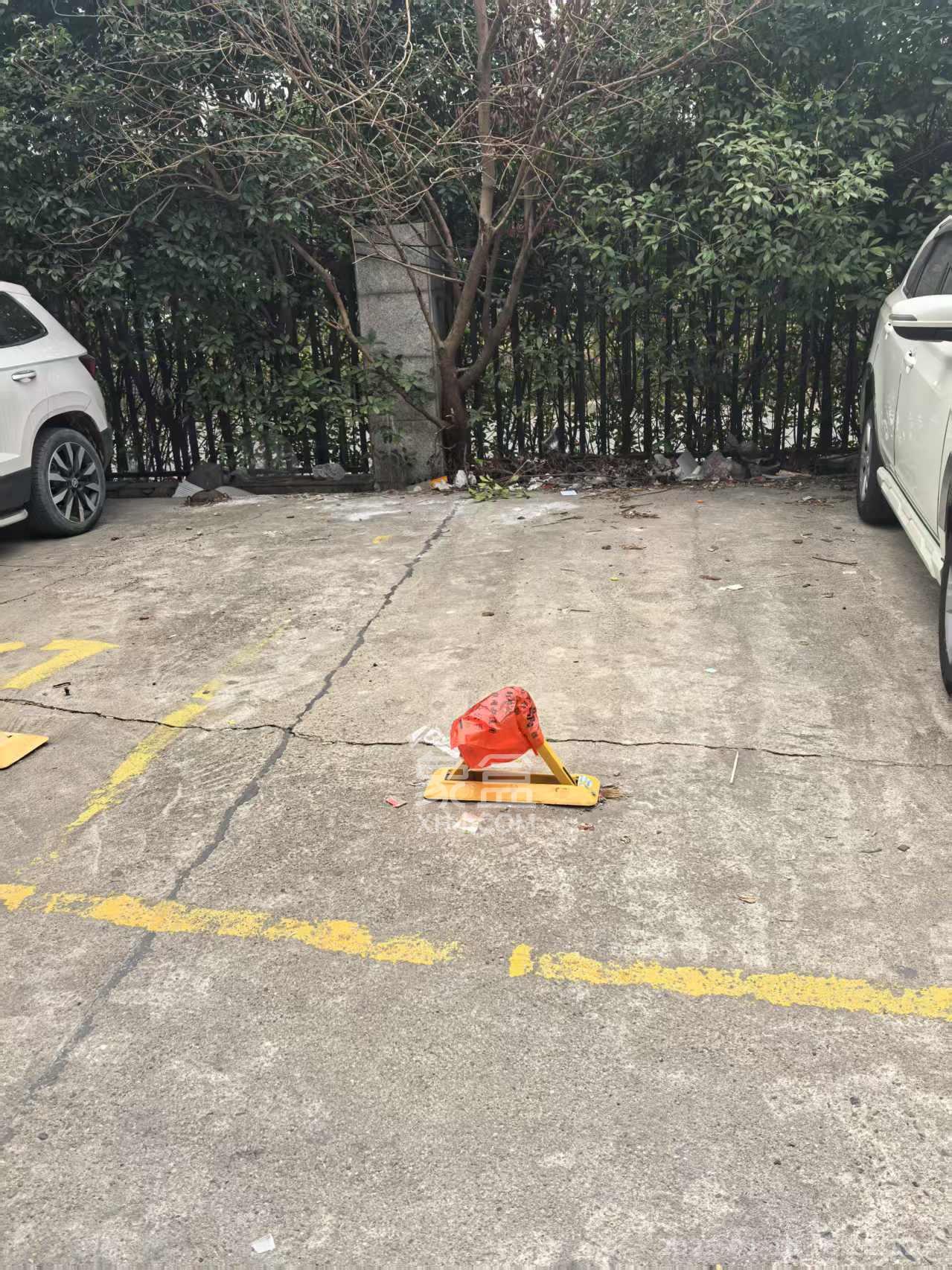 大桥四区 3室1厅1卫 2400.0元/月 大桥四区 3室1厅1卫 2400.0元/月室内图