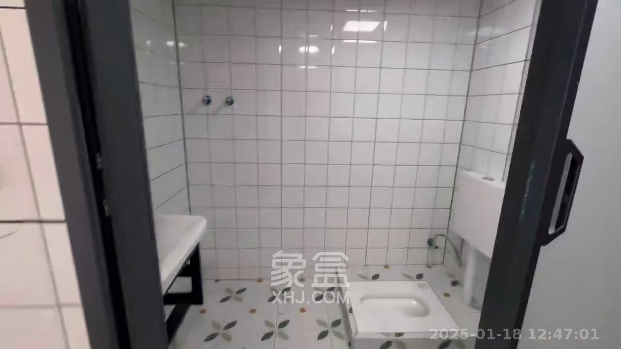 映客龙湖璟翠公馆（映客龙湖璟翠中心）   41.0㎡     2000.00元/月室内图