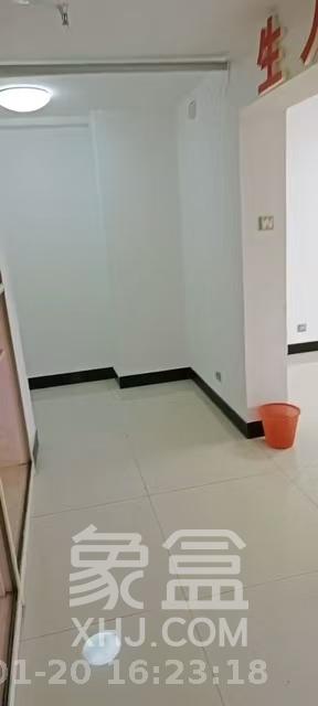 阳光锦城  1室1厅1卫   3600.00元/月室内图