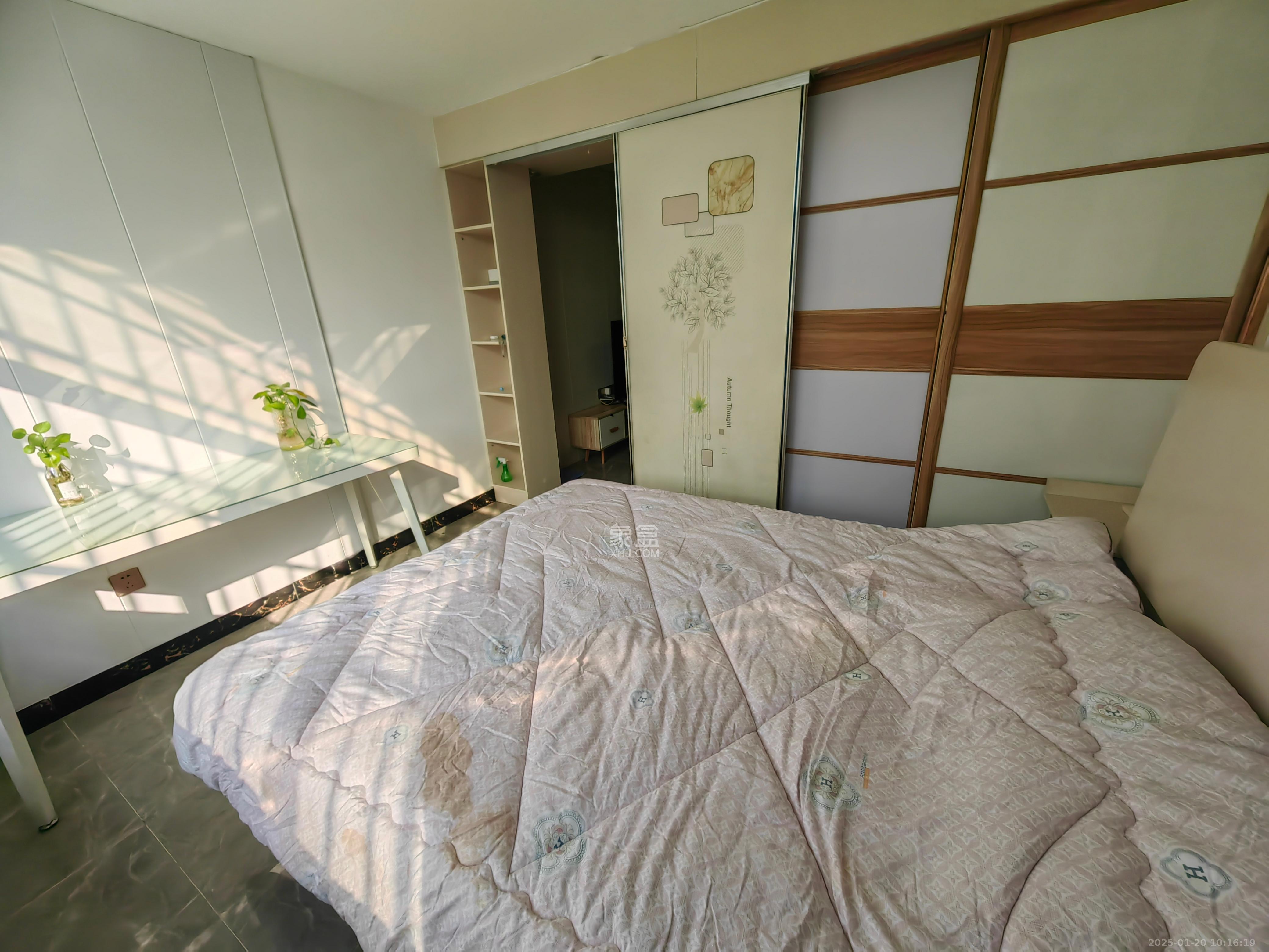 阳光锦城  1室1厅1卫   2000.00元/月