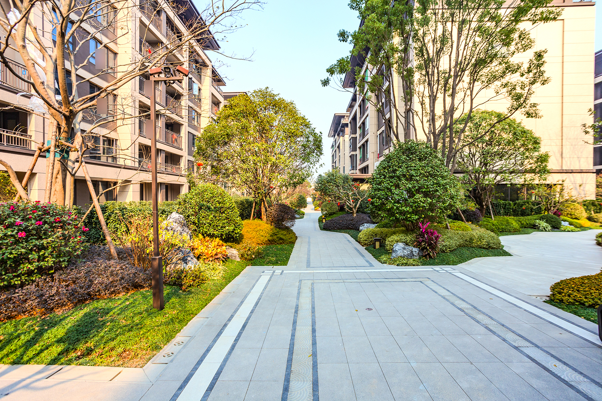 时代建发和著  5室2厅2卫   310.00万其他