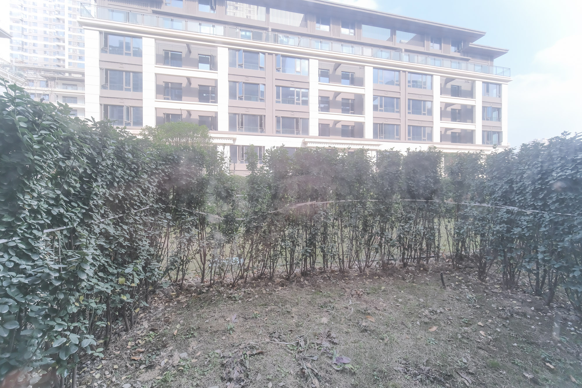 爱情公望府 5室2厅3卫 295.0万 爱情公望府 5室2厅3卫 295.0万其他