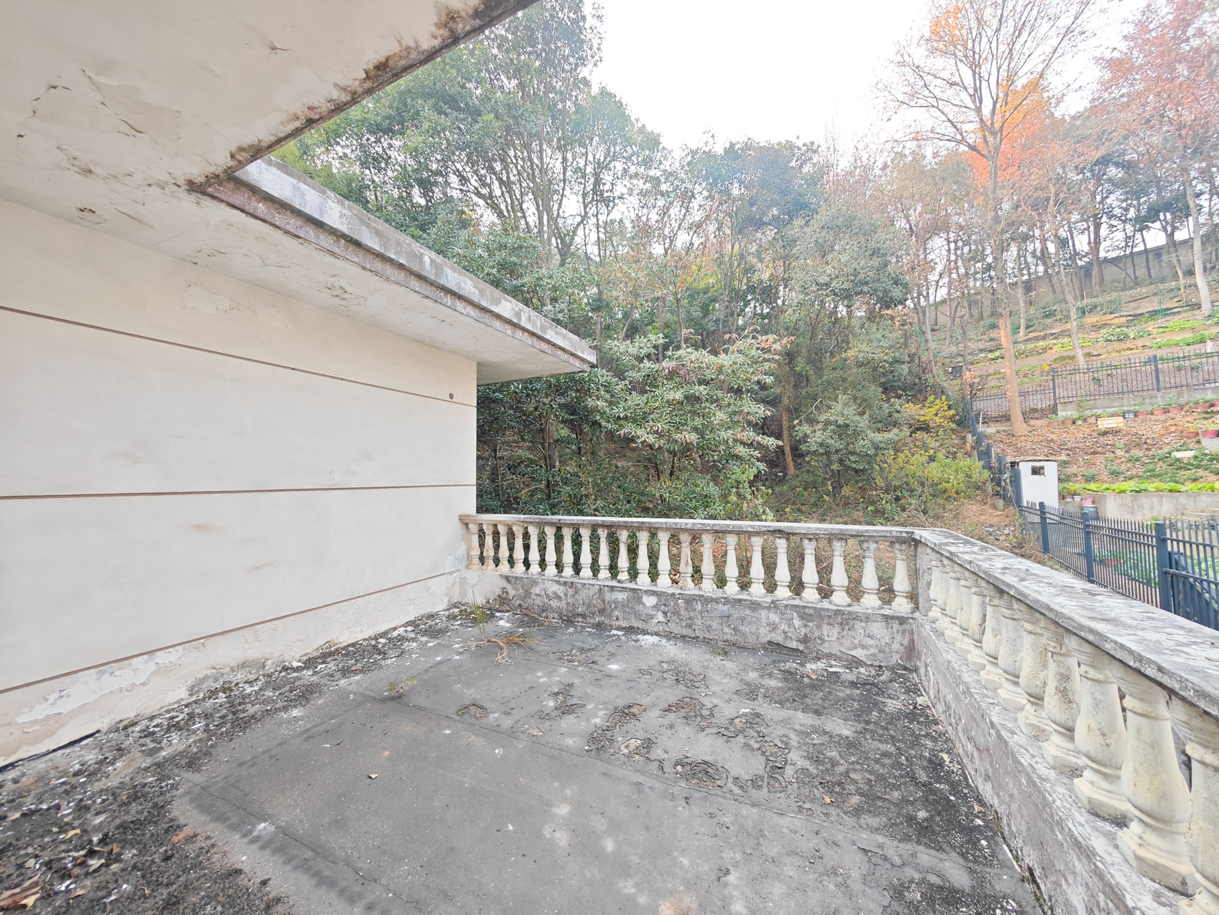 同升湖山庄  5室2厅5卫   1000.00万其他