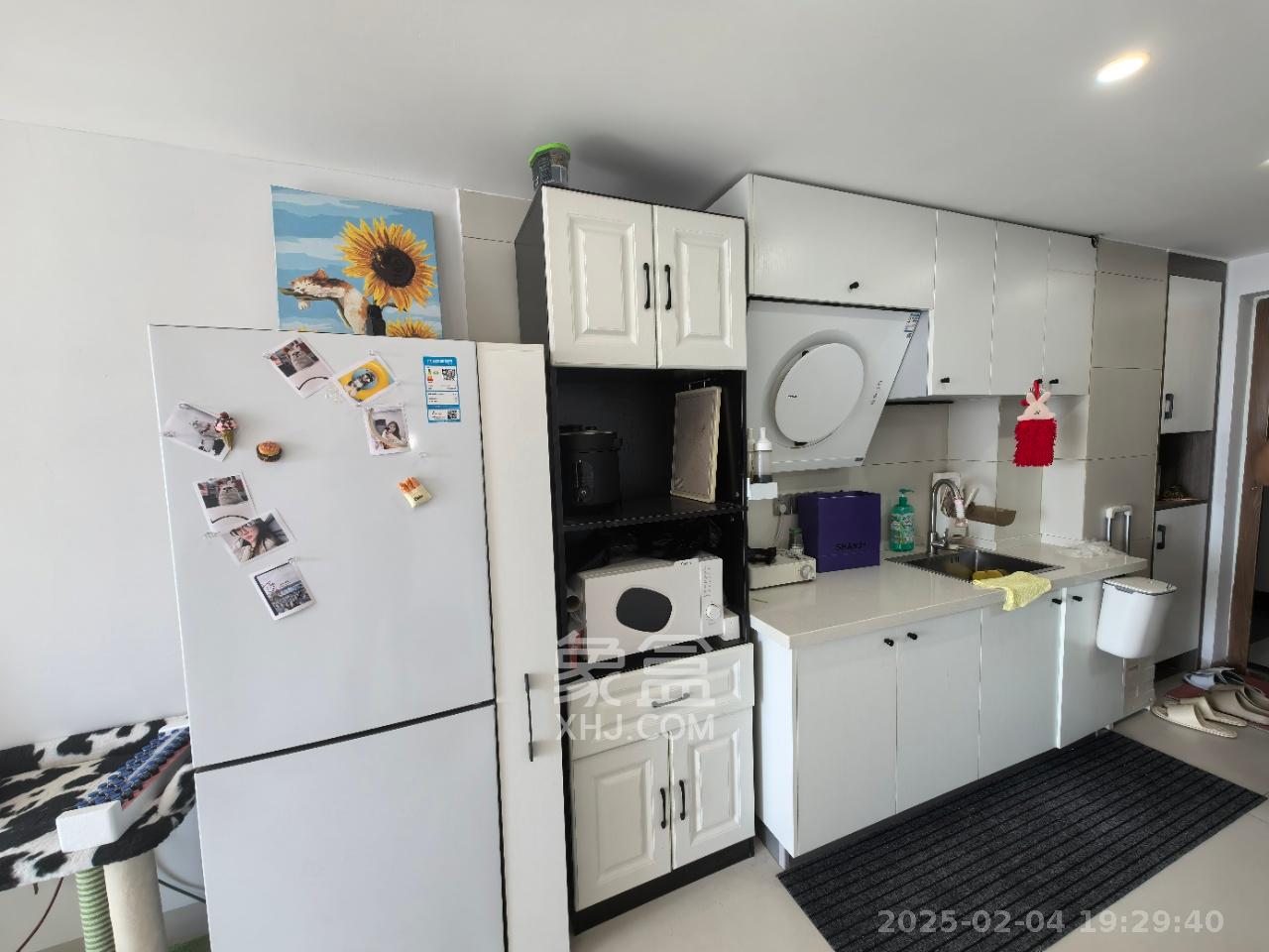 中南国际眼镜城(中伟商业中心) 2室1厅1卫 1800.0元/月 中南国际眼镜城(中伟商业中心) 2室1厅1卫 1800.0元/月室内图