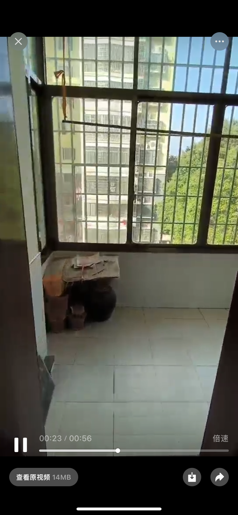 金碧文苑 3室2厅2卫 1200.0元/月 金碧文苑 3室2厅2卫 1200.0元/月室内图