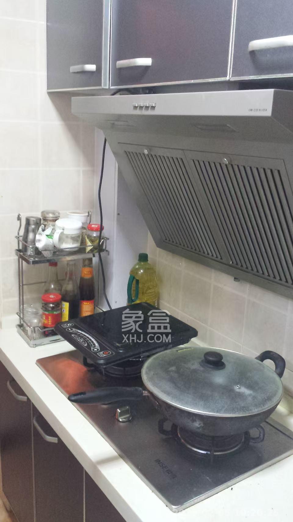 金领家族  1室1厅1卫    1550.0元/月室内图