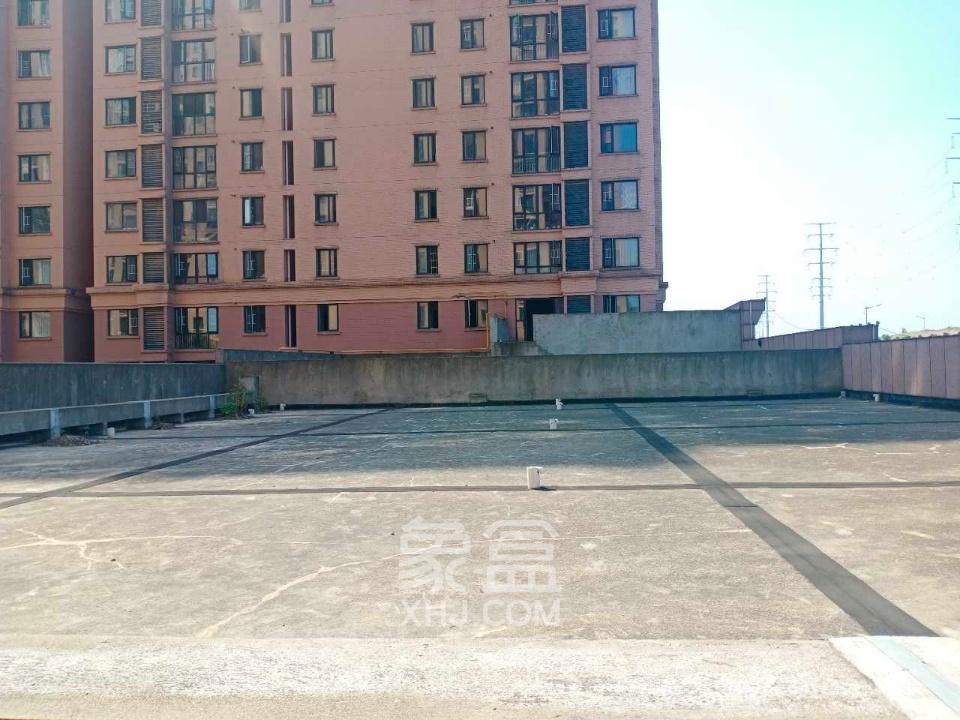 丽发新城 2室1厅1卫 2000.0元/月 丽发新城 2室1厅1卫 2000.0元/月室内图