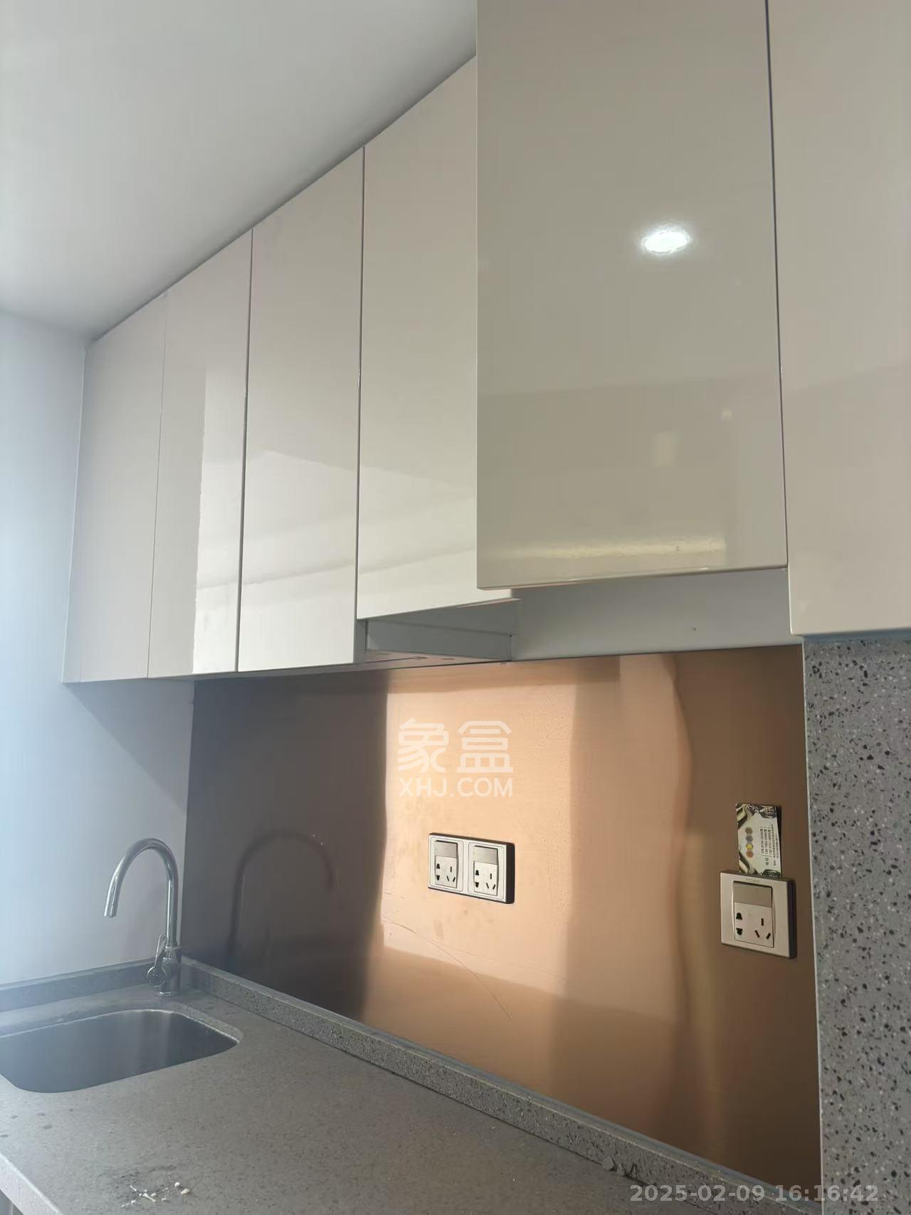 旭辉华宇南宸府  1室1厅1卫    1350.0元/月室内图