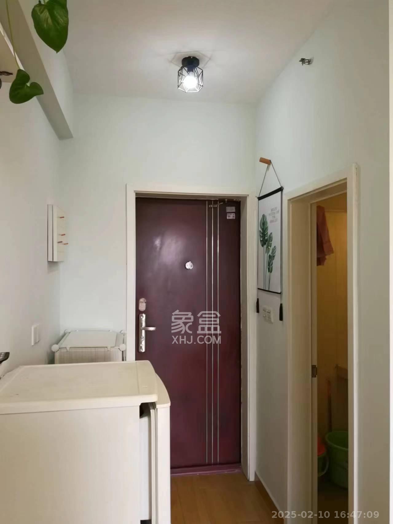 建安像素汇  1室1厅1卫   1100.00元/月室内图