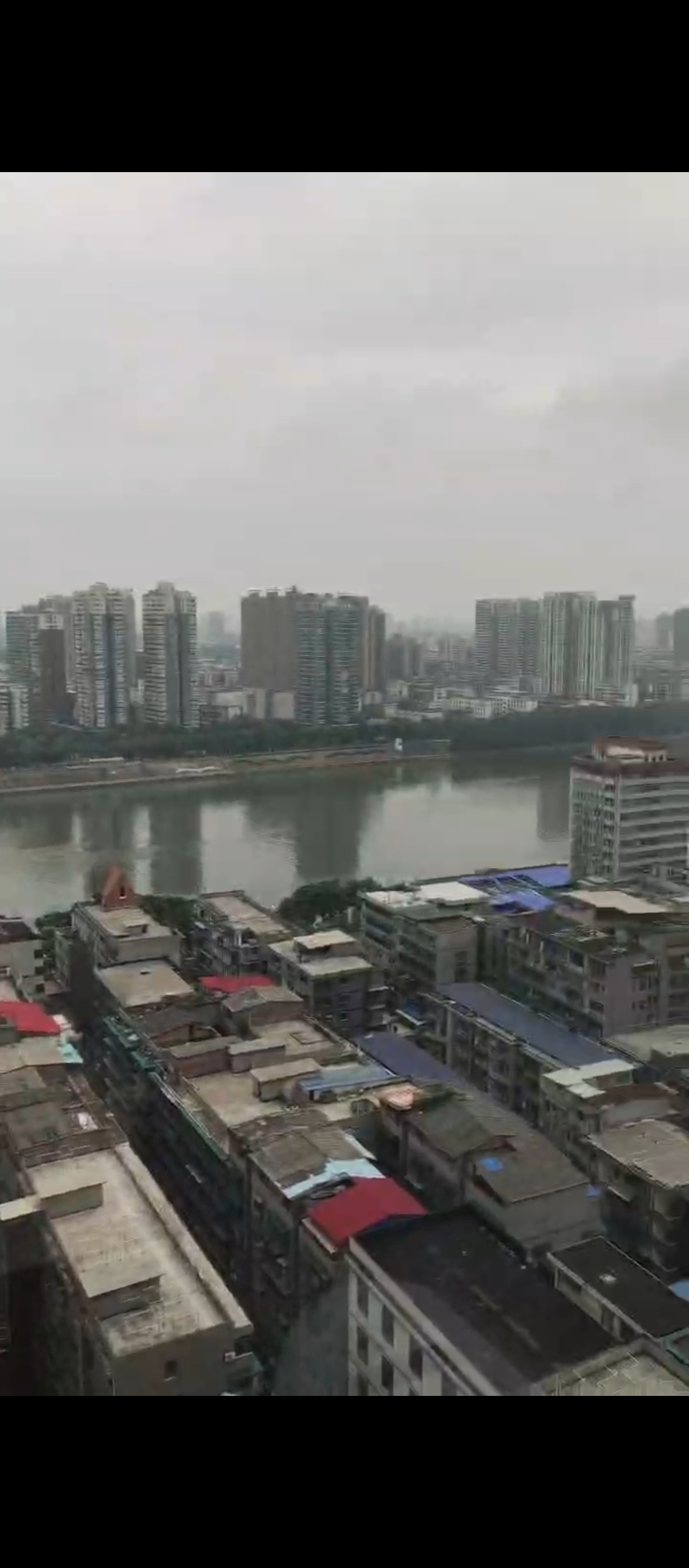 旺角星辰 1室1厅1卫 1000.0元/月 旺角星辰 1室1厅1卫 1000.0元/月户型图