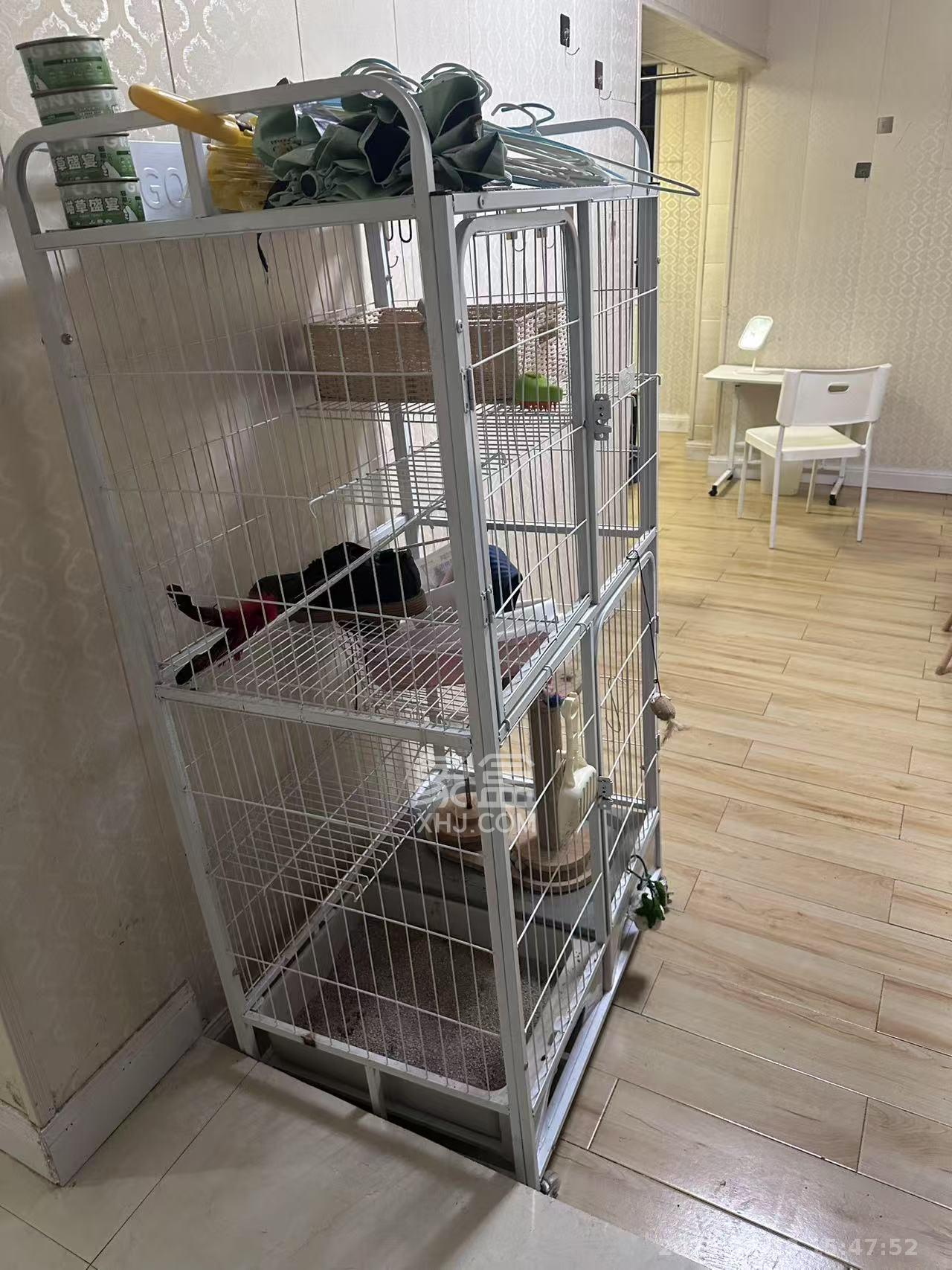 湘凯石化大厦 1室0厅0卫 1360.0元/月 湘凯石化大厦 1室0厅0卫 1360.0元/月室内图