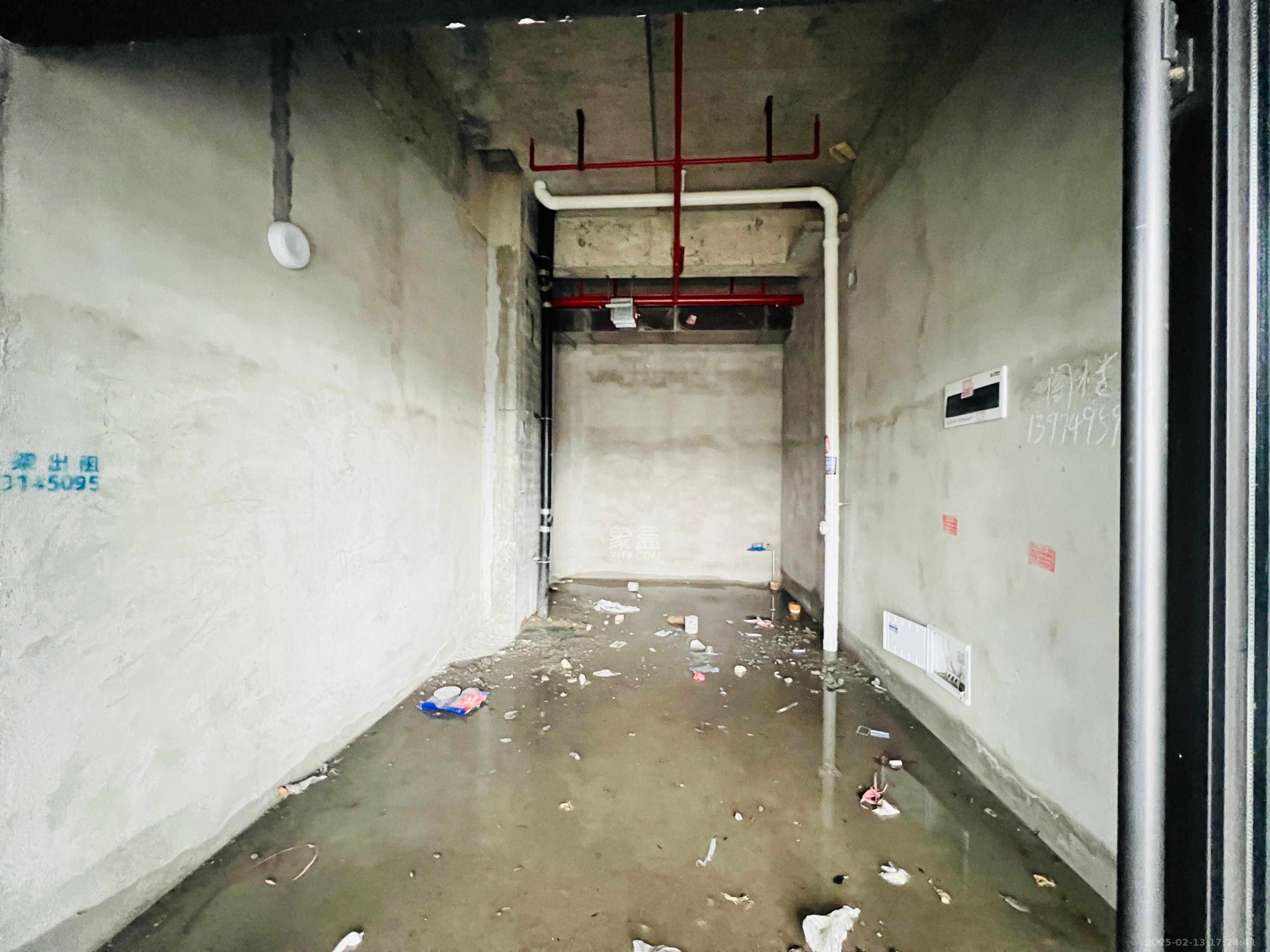 绿地V岛   30.0㎡      3800.0元/月