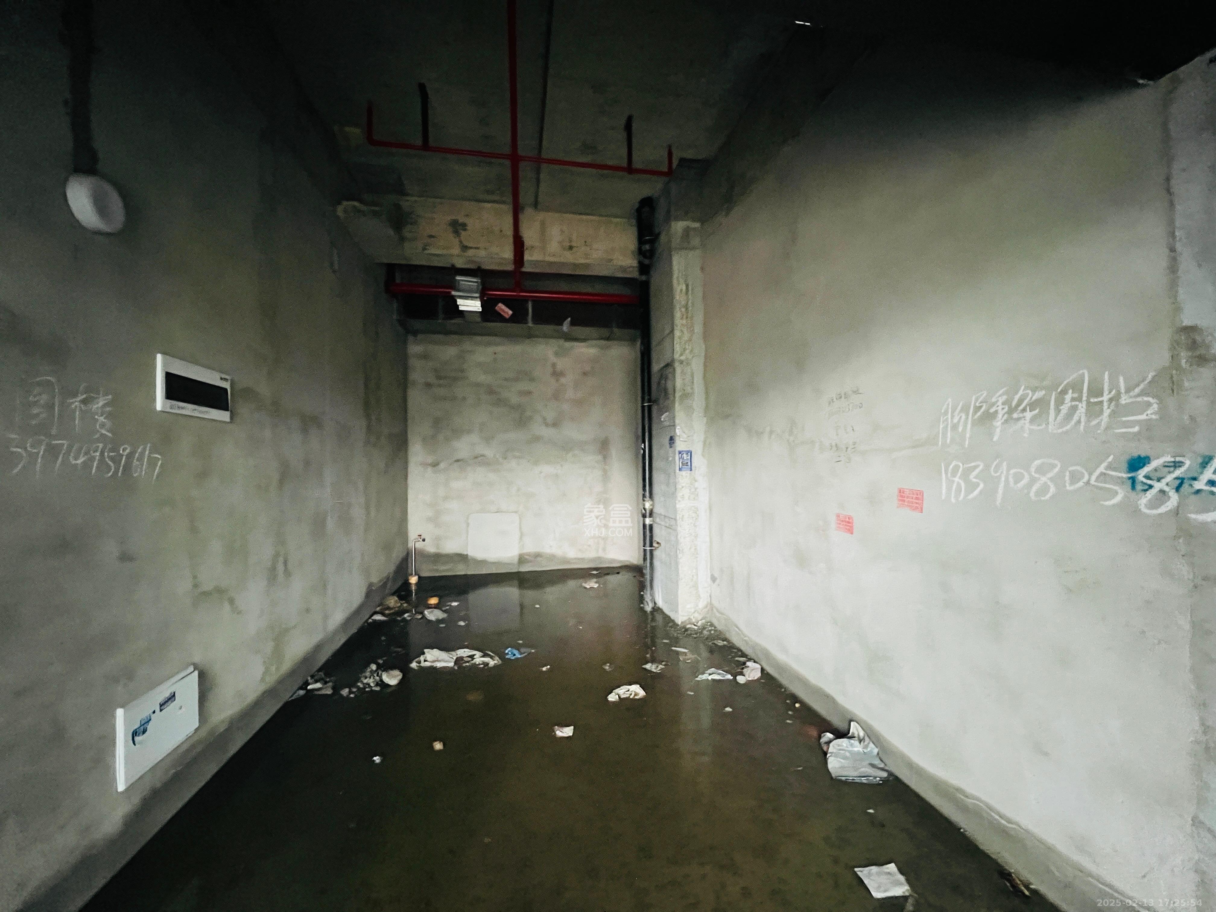 绿地V岛   30.0㎡      3800.0元/月