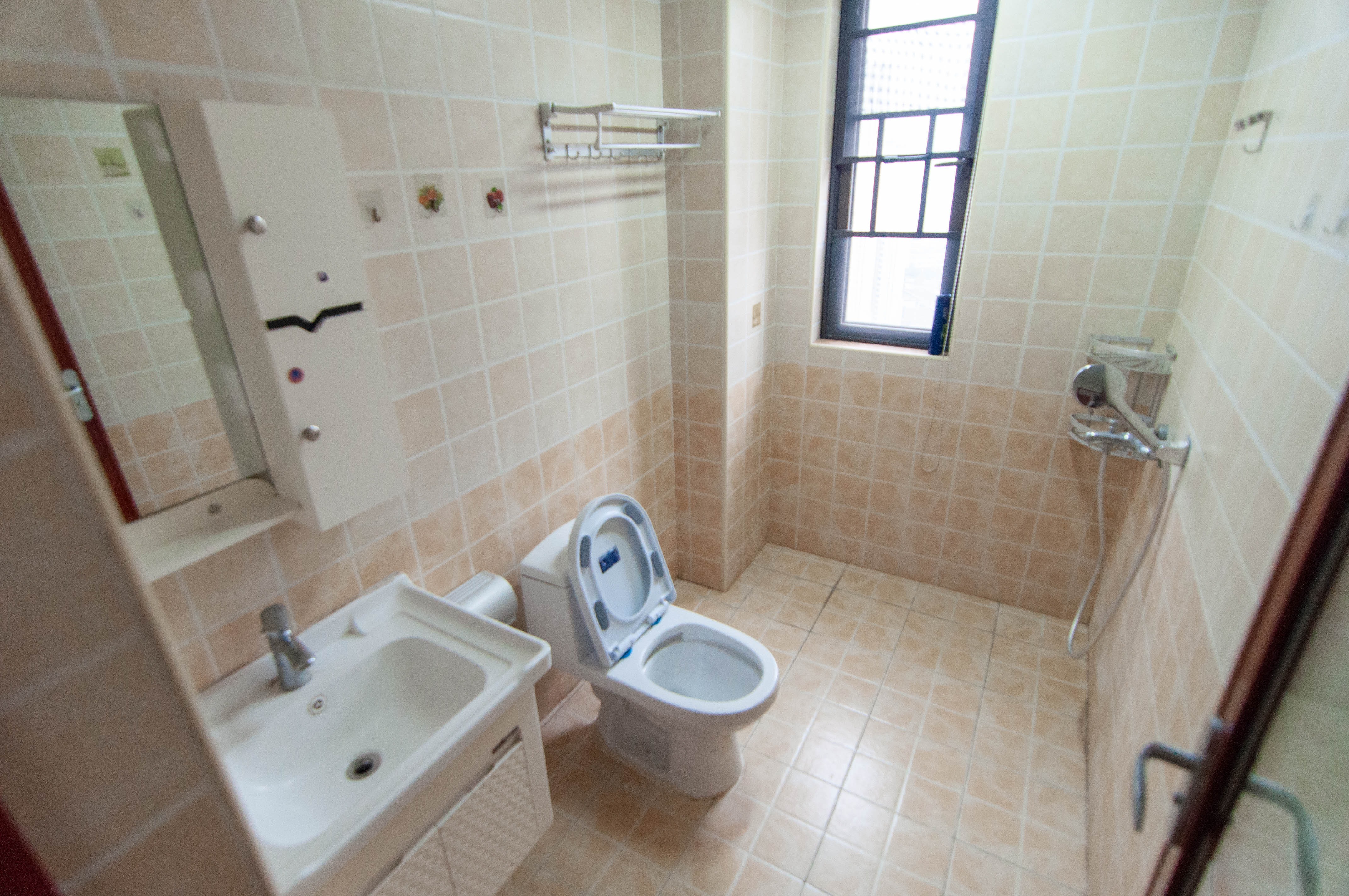 卓越浅水湾  4室2厅2卫    180.0万卫生间