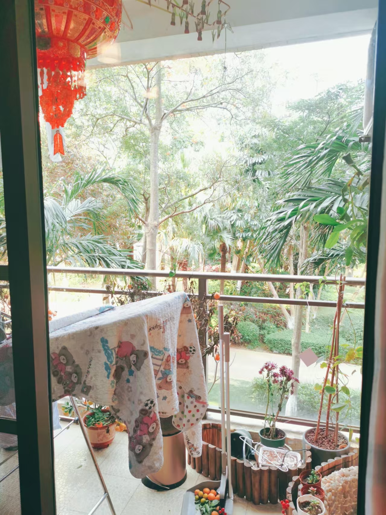 观海台1号  2室2厅1卫    266.0万 观海台1号  2室2厅1卫    266.0万客厅