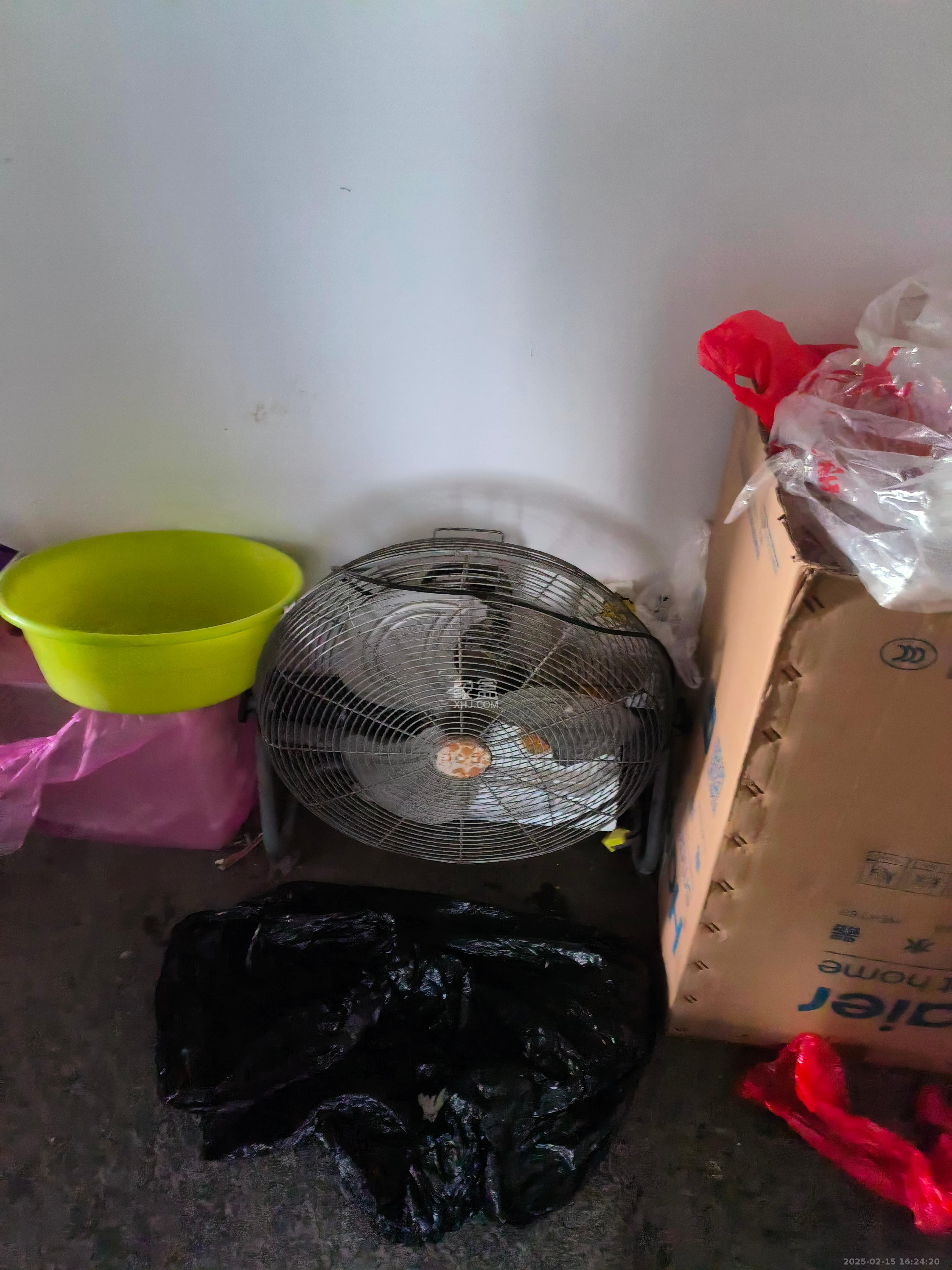 南山雍江汇(滨江国际新城) 4室2厅2卫 3000.0元/月 南山雍江汇(滨江国际新城) 4室2厅2卫 3000.0元/月室内图