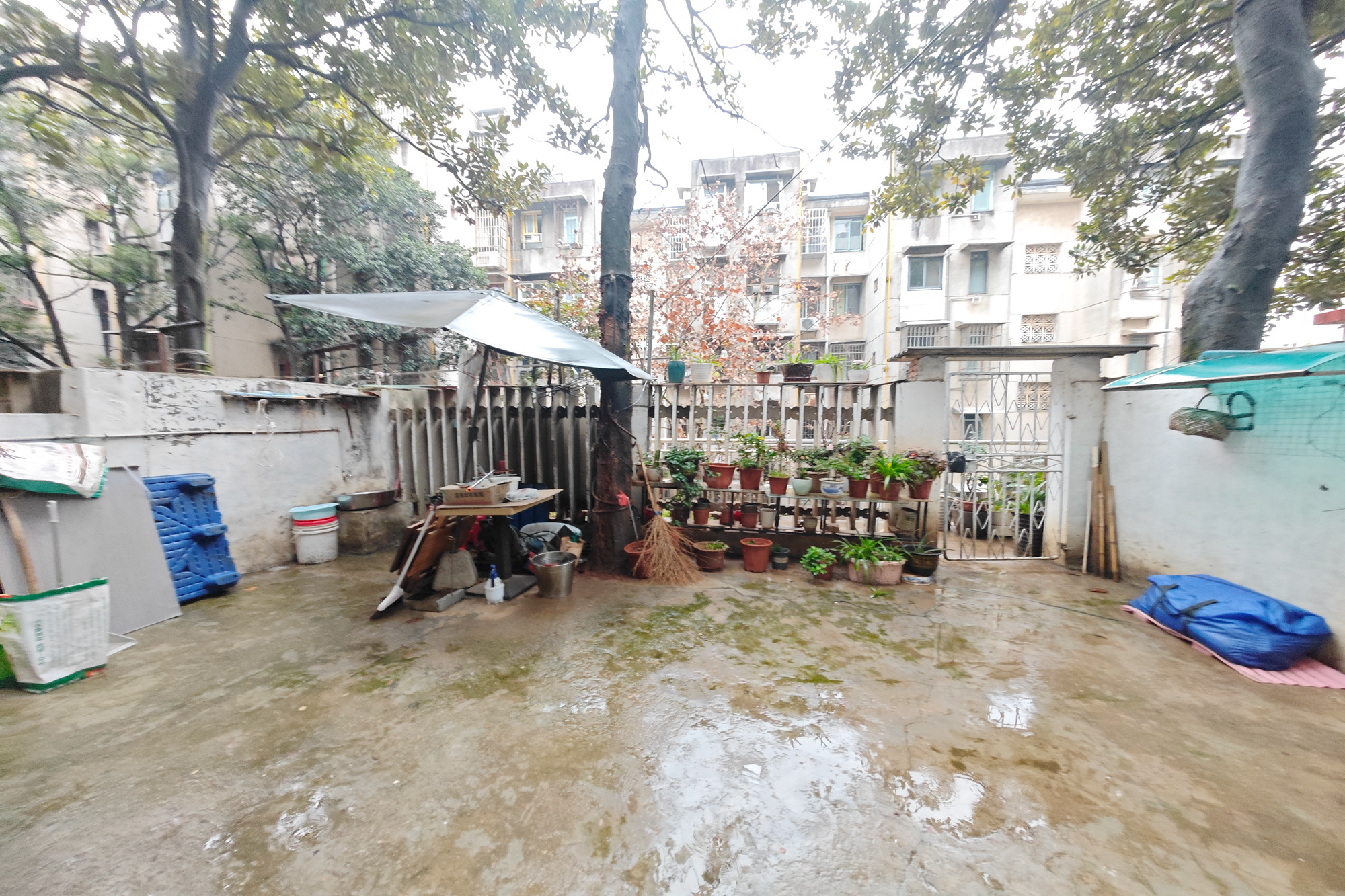 桔园小区1-8片 4室2厅1卫 55.0万 桔园小区1-8片 4室2厅1卫 55.0万阳台