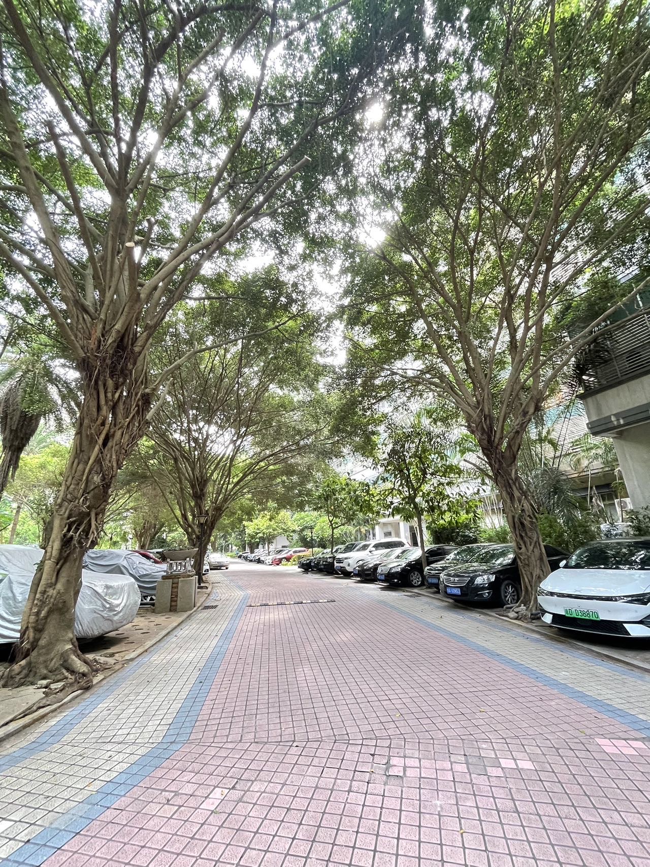 名门广场南区(一期) 3室2厅1卫 170.0万 名门广场南区(一期) 3室2厅1卫 170.0万户型图