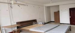 高桥新二号小区  1室1厅1卫   1100.00元/月