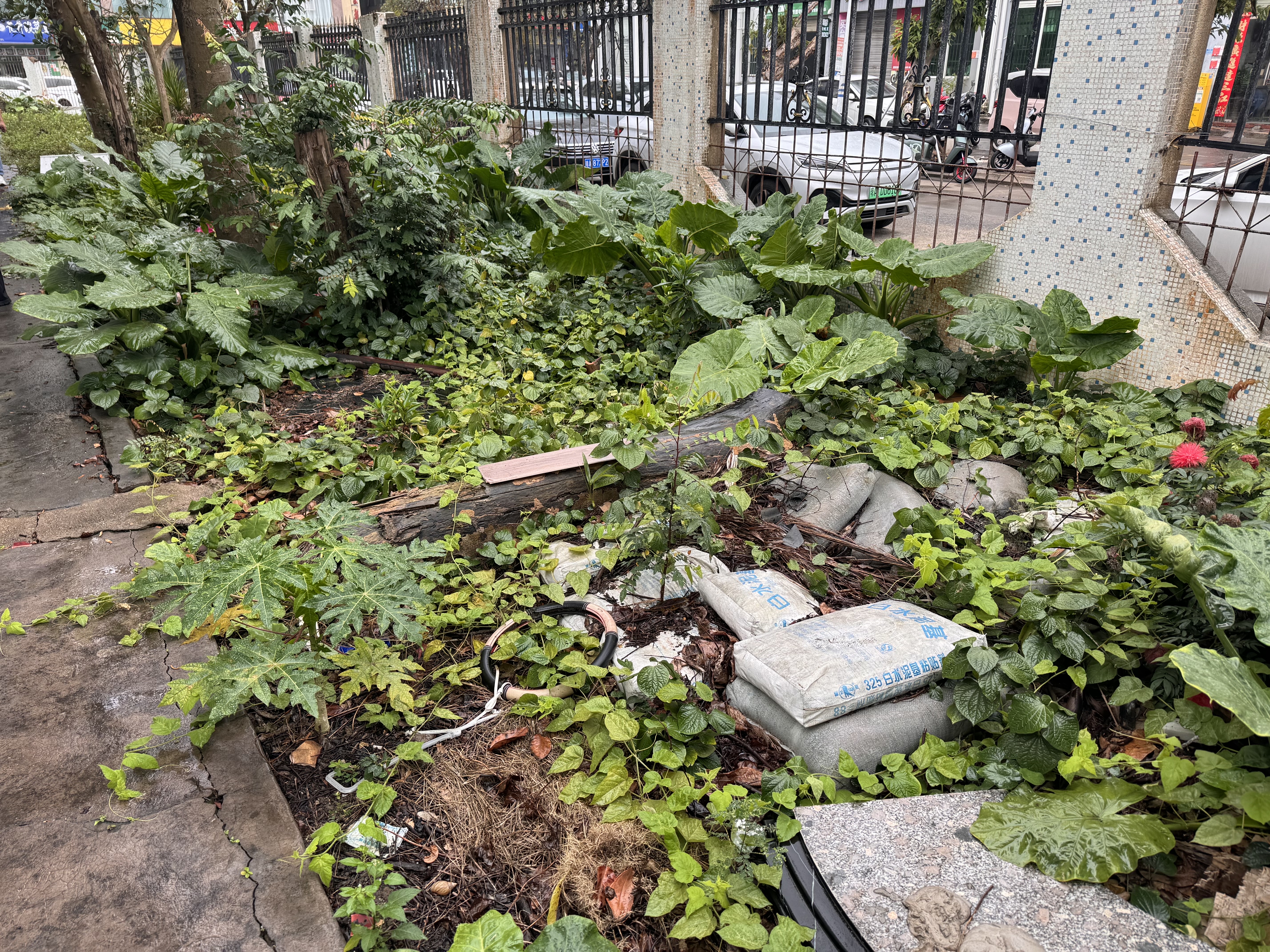 国科园小区 2室1厅1卫 410.0万 国科园小区 2室1厅1卫 410.0万客厅