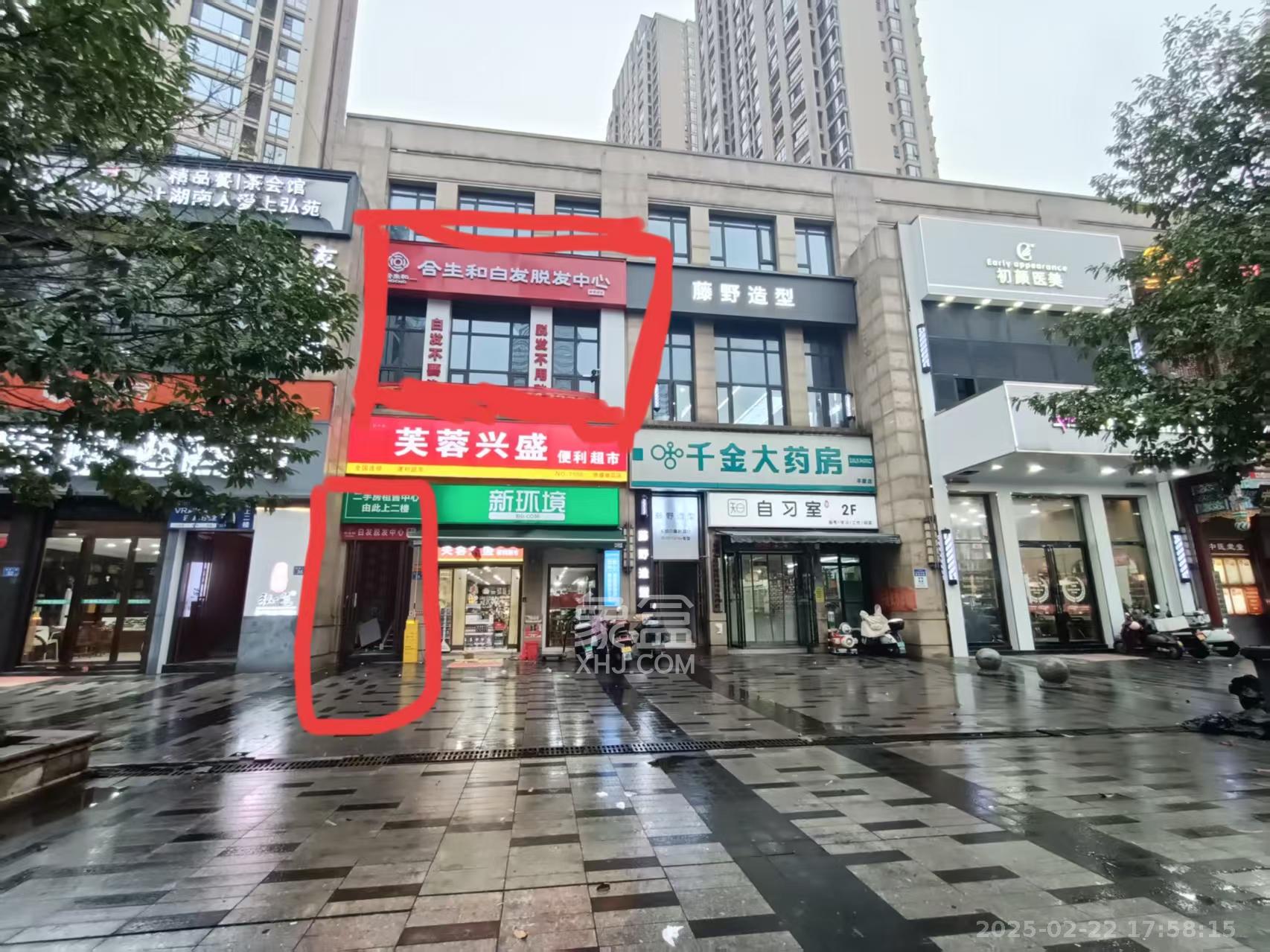 梅溪湖金茂府（金茂广场）（金茂览秀城）  5室2厅1卫   14000.00元/月