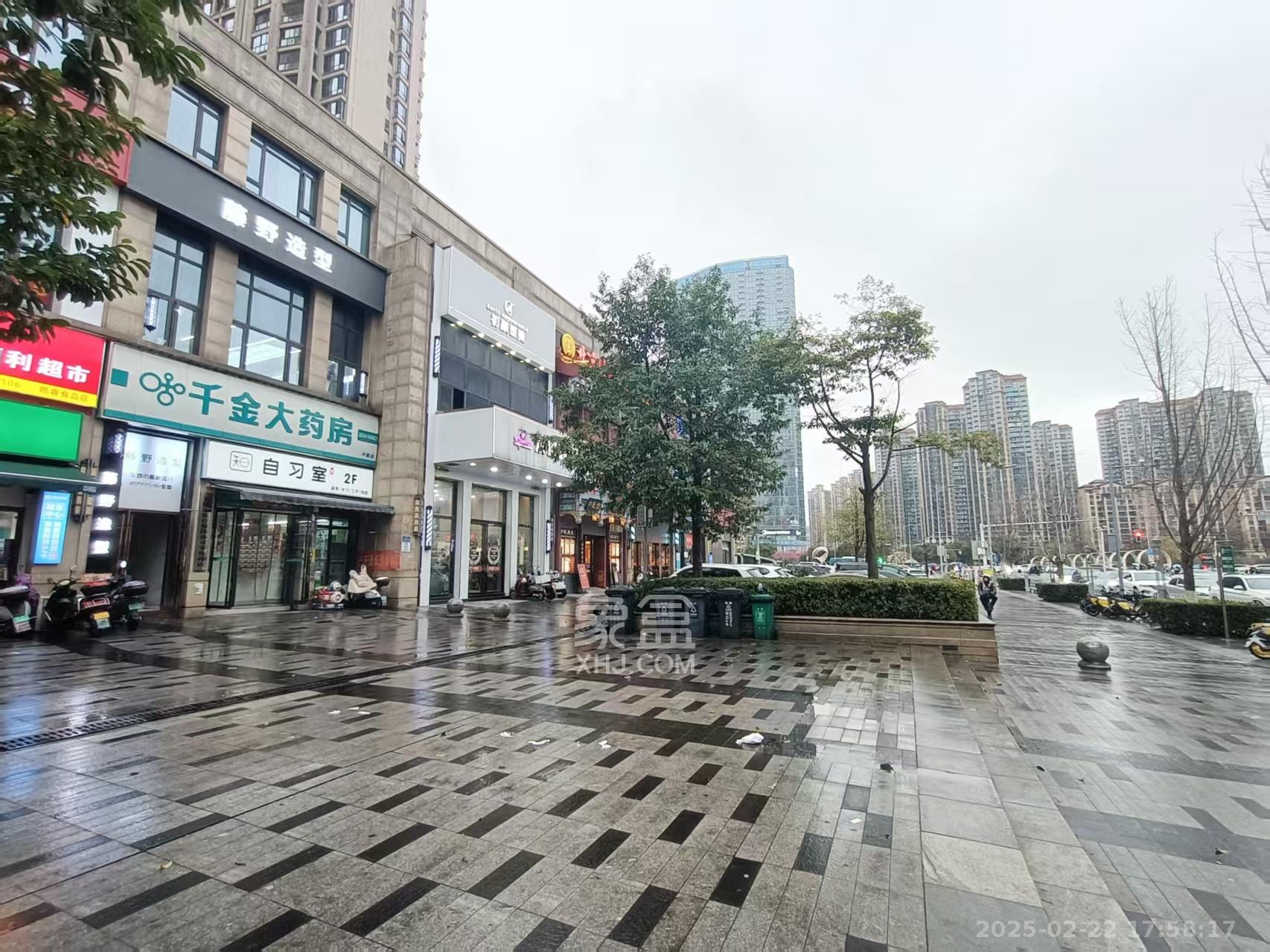 梅溪湖金茂府（金茂广场）（金茂览秀城）  5室2厅1卫    14000.0元/月室内图