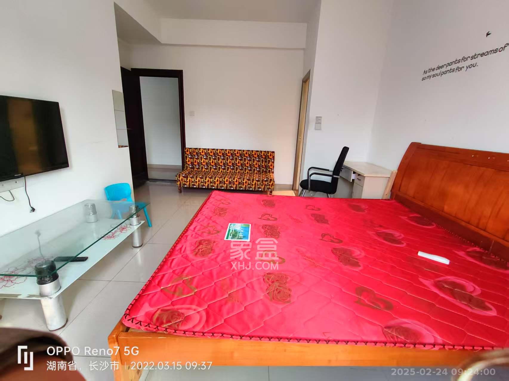 和泉嘉园 1室1厅1卫 800.0元/月 和泉嘉园 1室1厅1卫 800.0元/月室内图