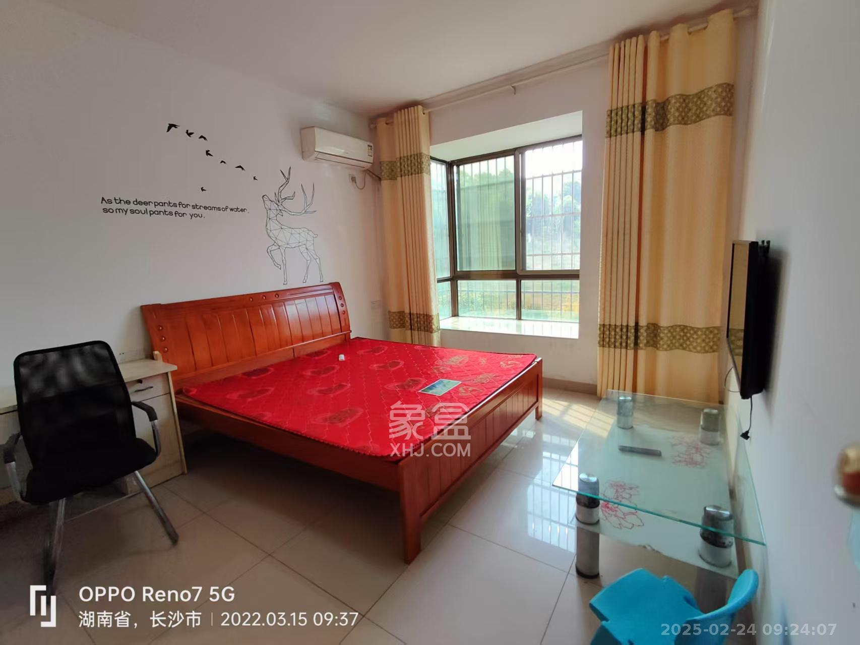 和泉嘉园 1室1厅1卫 800.0元/月 和泉嘉园 1室1厅1卫 800.0元/月室内图