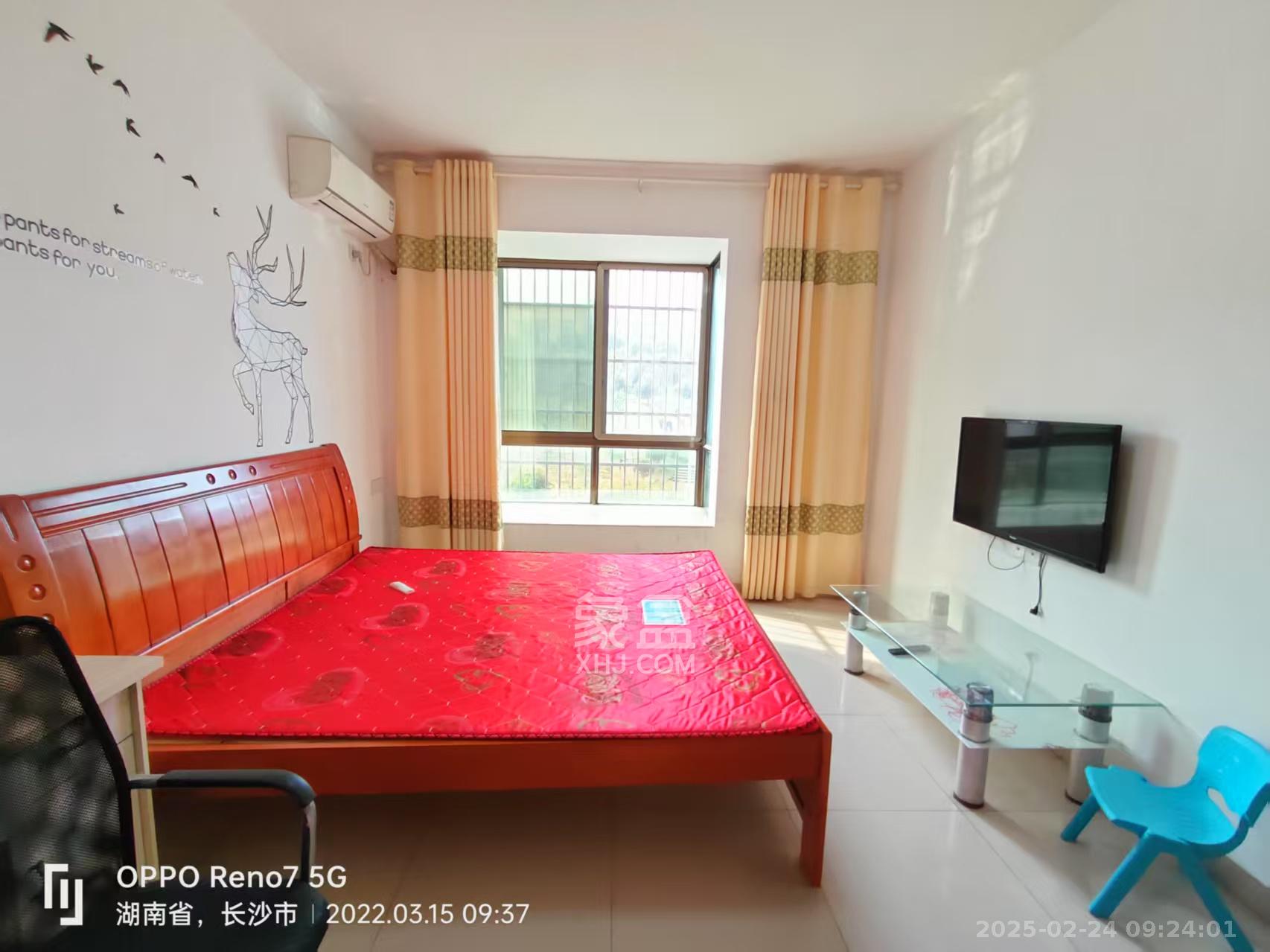 和泉嘉园 1室1厅1卫 800.0元/月 和泉嘉园 1室1厅1卫 800.0元/月室内图