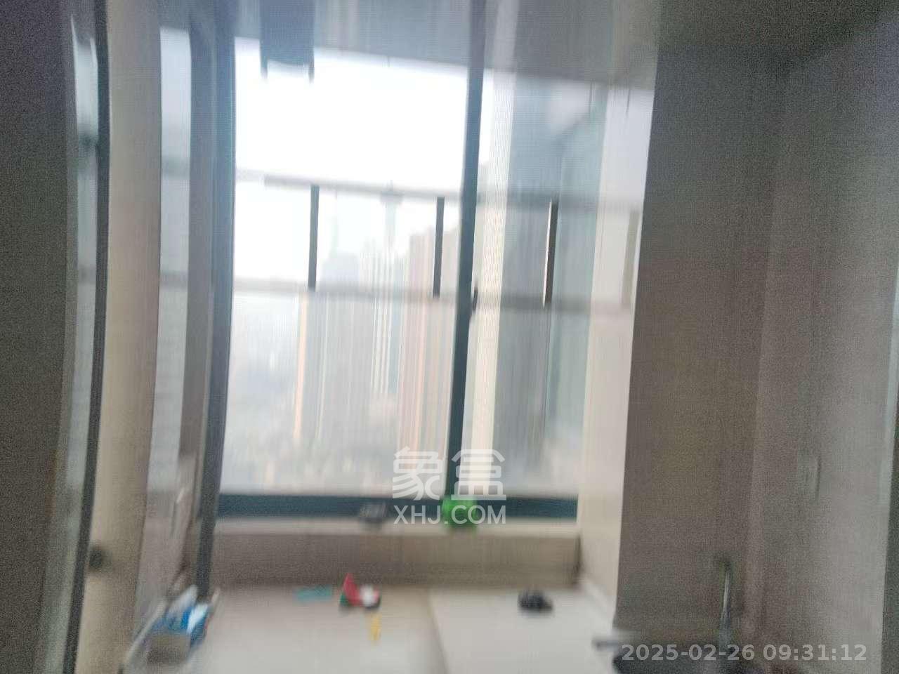 东一国际 1室1厅1卫 2000.0元/月 东一国际 1室1厅1卫 2000.0元/月室内图