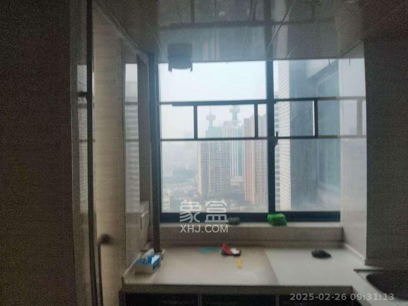 东一国际 1室1厅1卫 2000.0元/月 东一国际 1室1厅1卫 2000.0元/月室内图